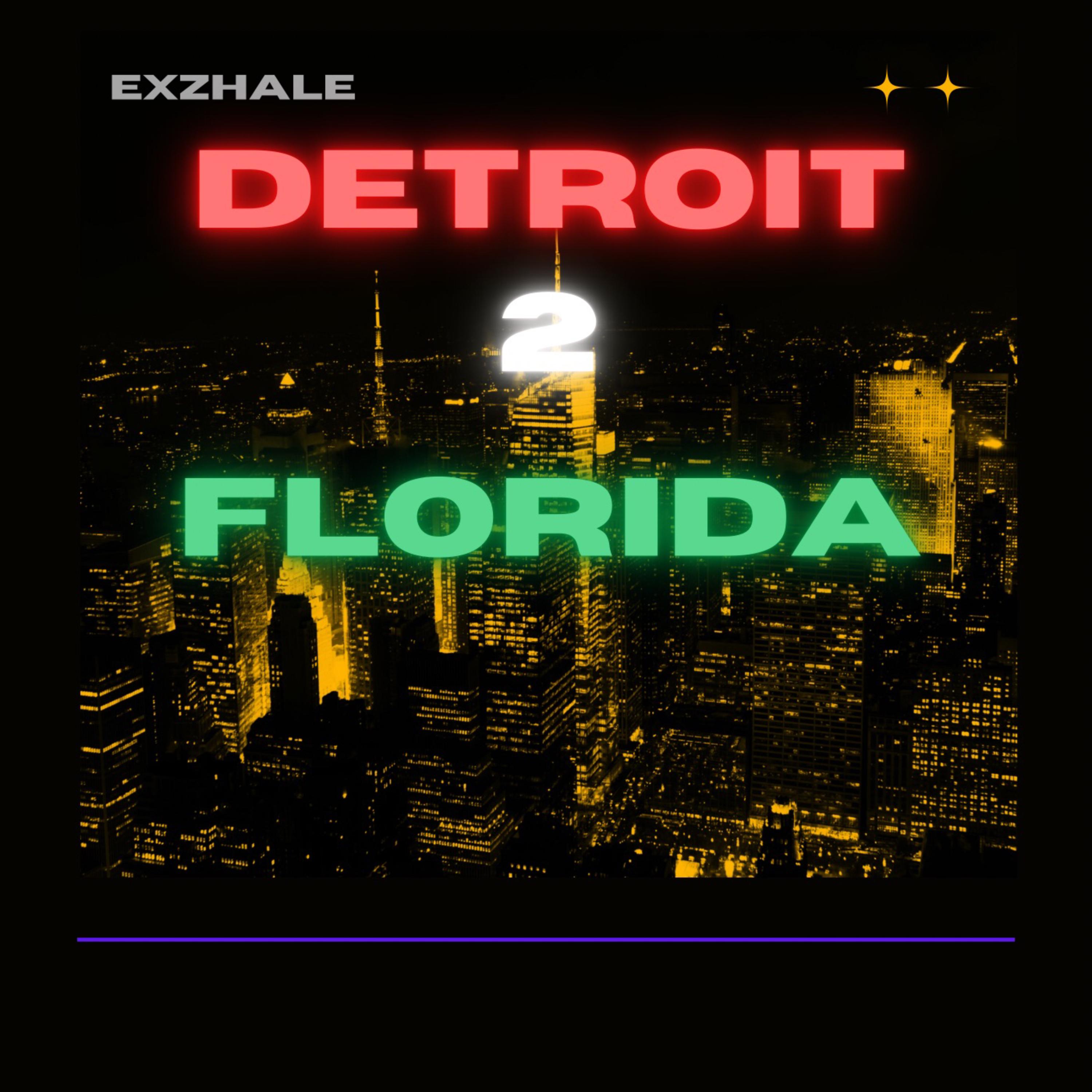 Detroit2Florida artwork