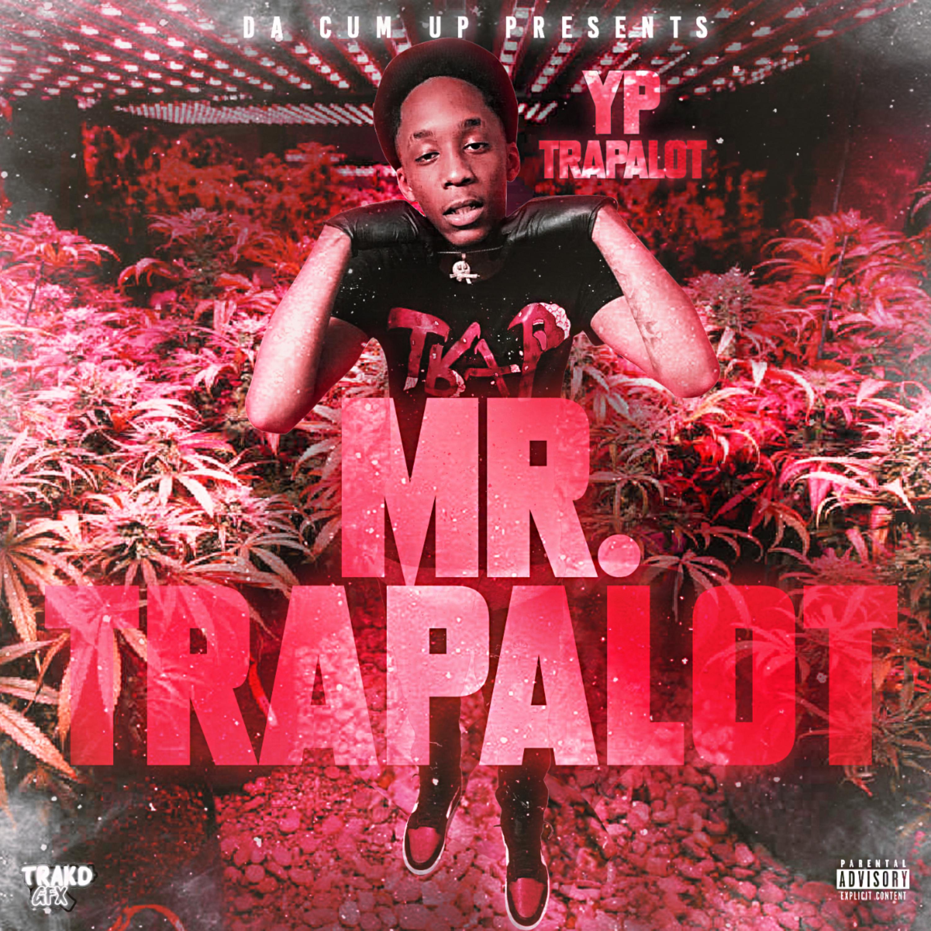 MR.TRAPALOT artwork