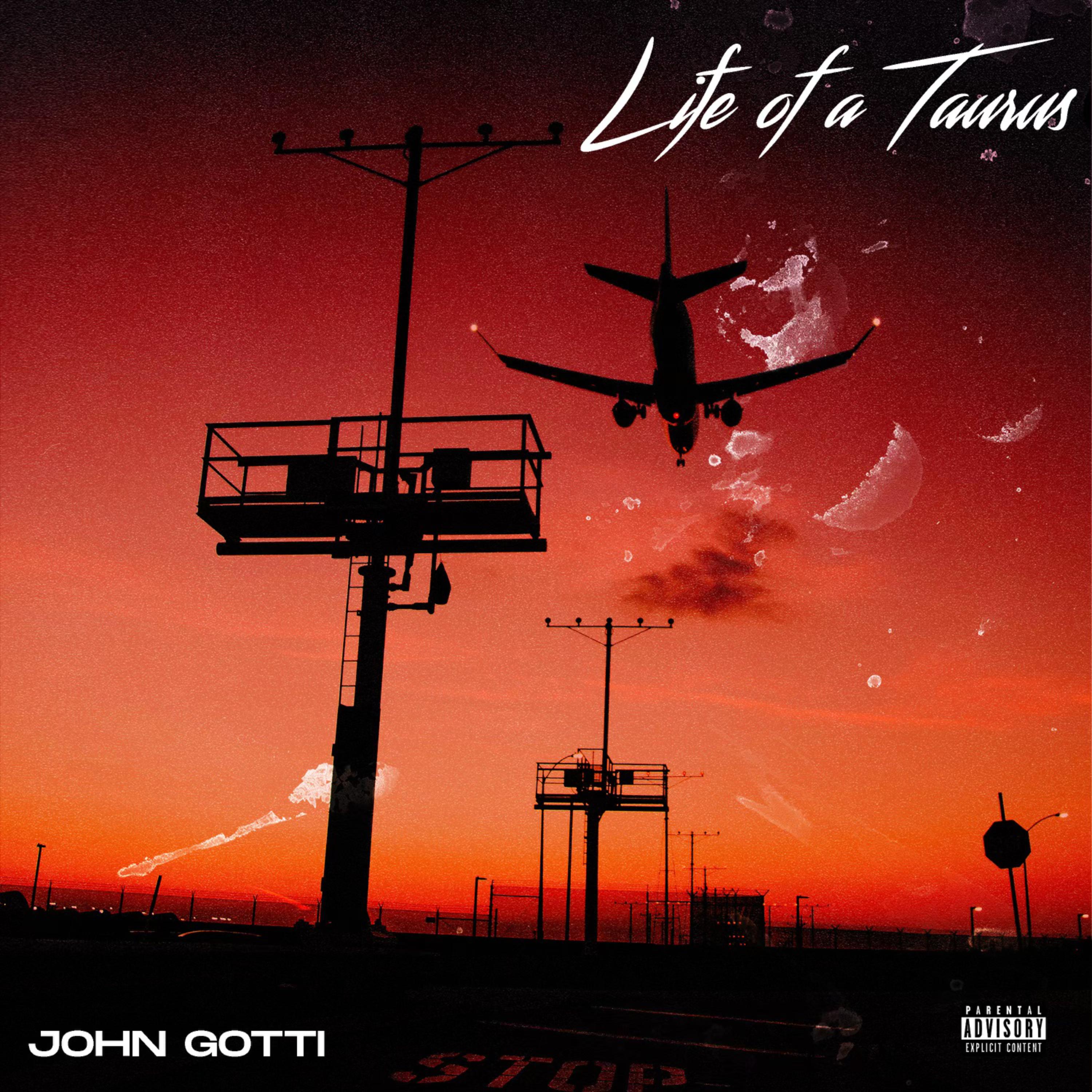 Life of a Taurus artwork