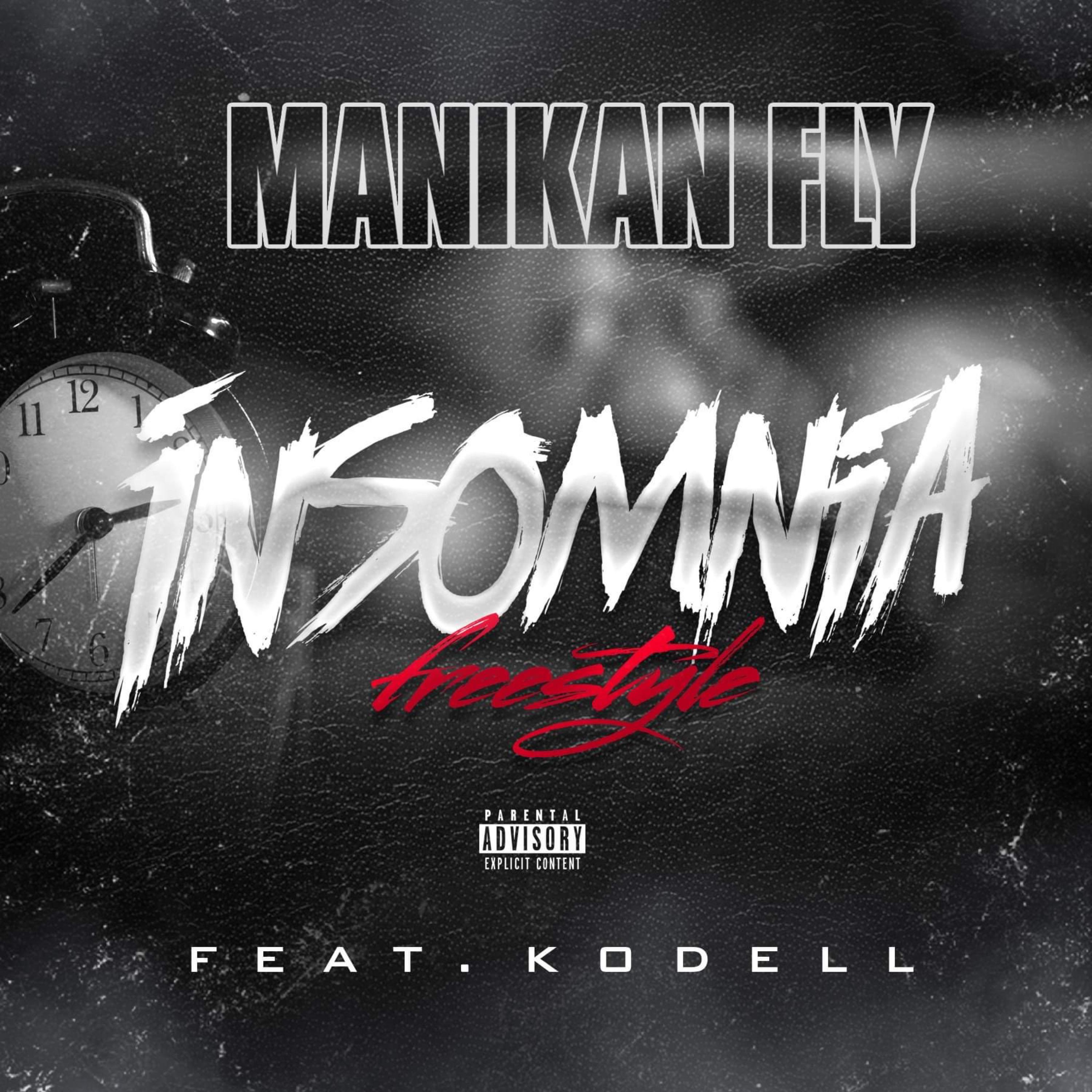 Insomnia Freestyle artwork