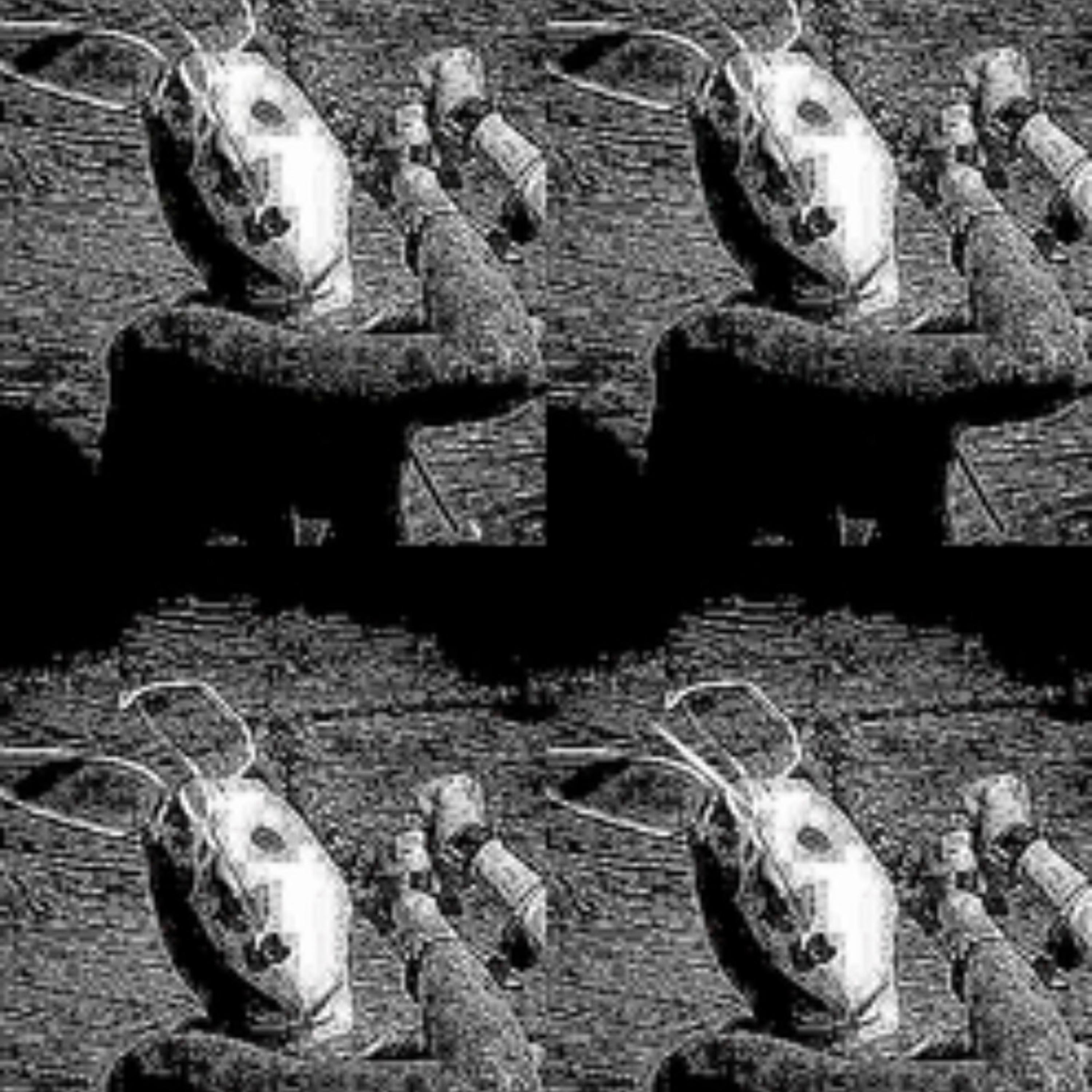 X My Feed! artwork