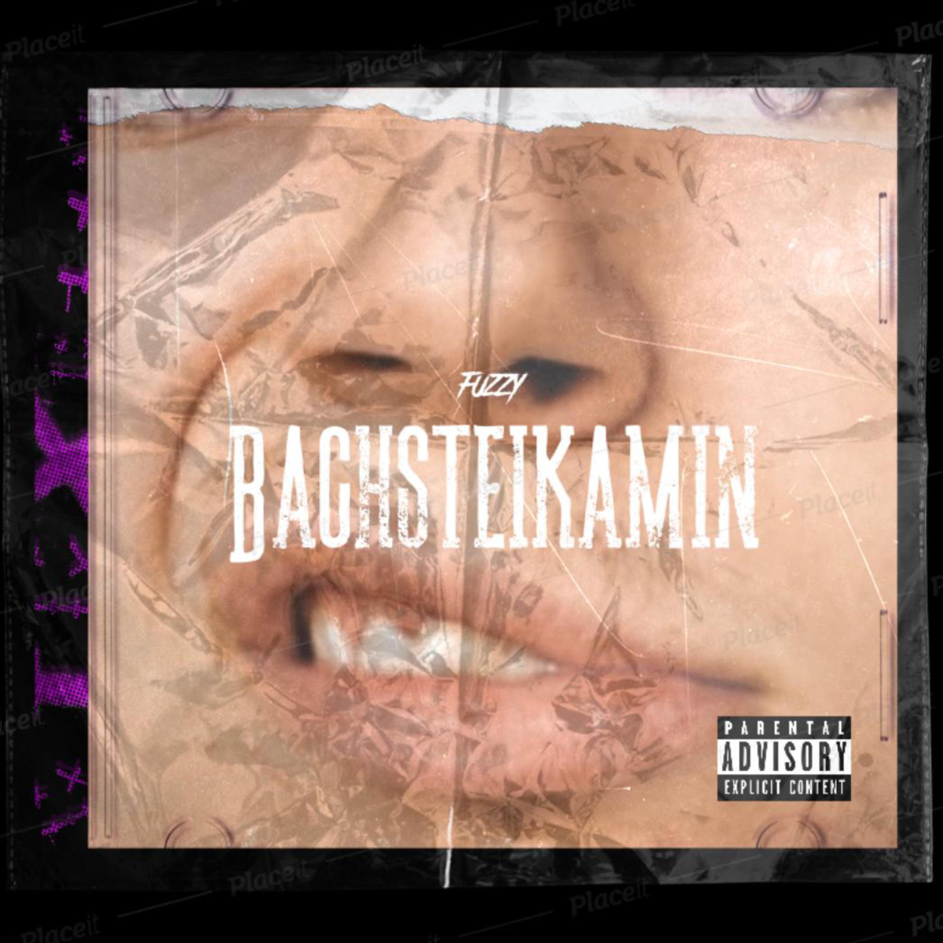 Bachsteikamin artwork