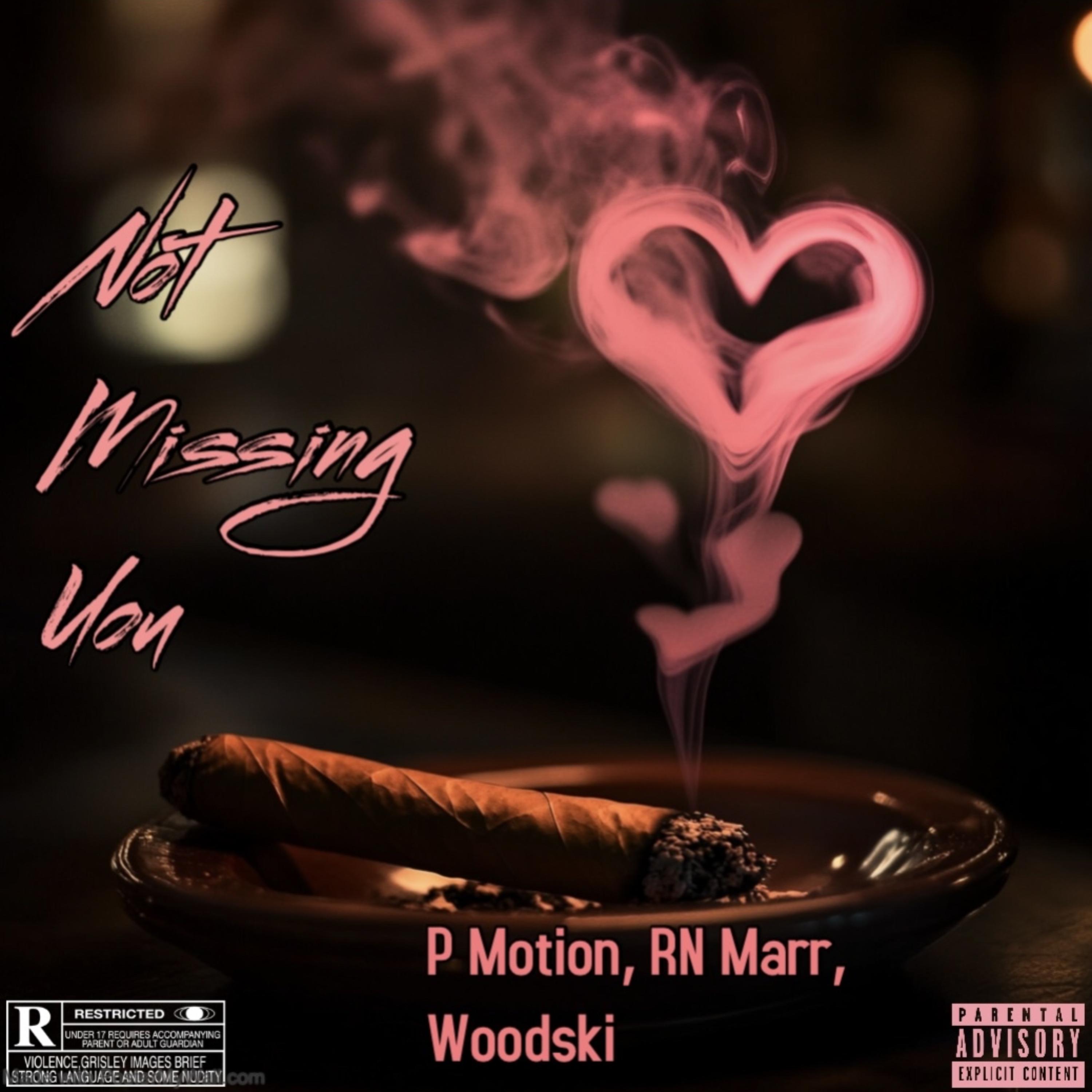 Not Missing You artwork