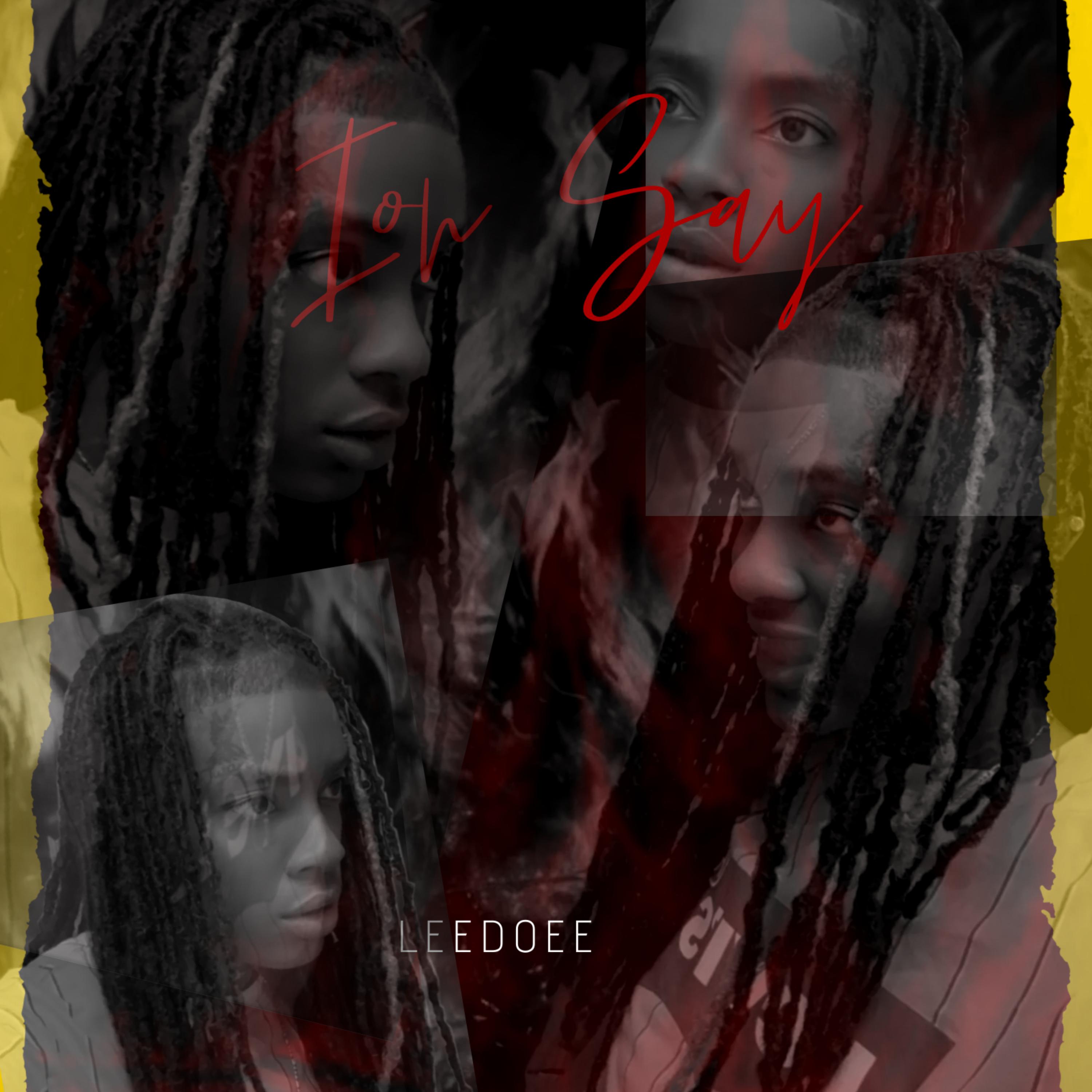 Ion Say artwork