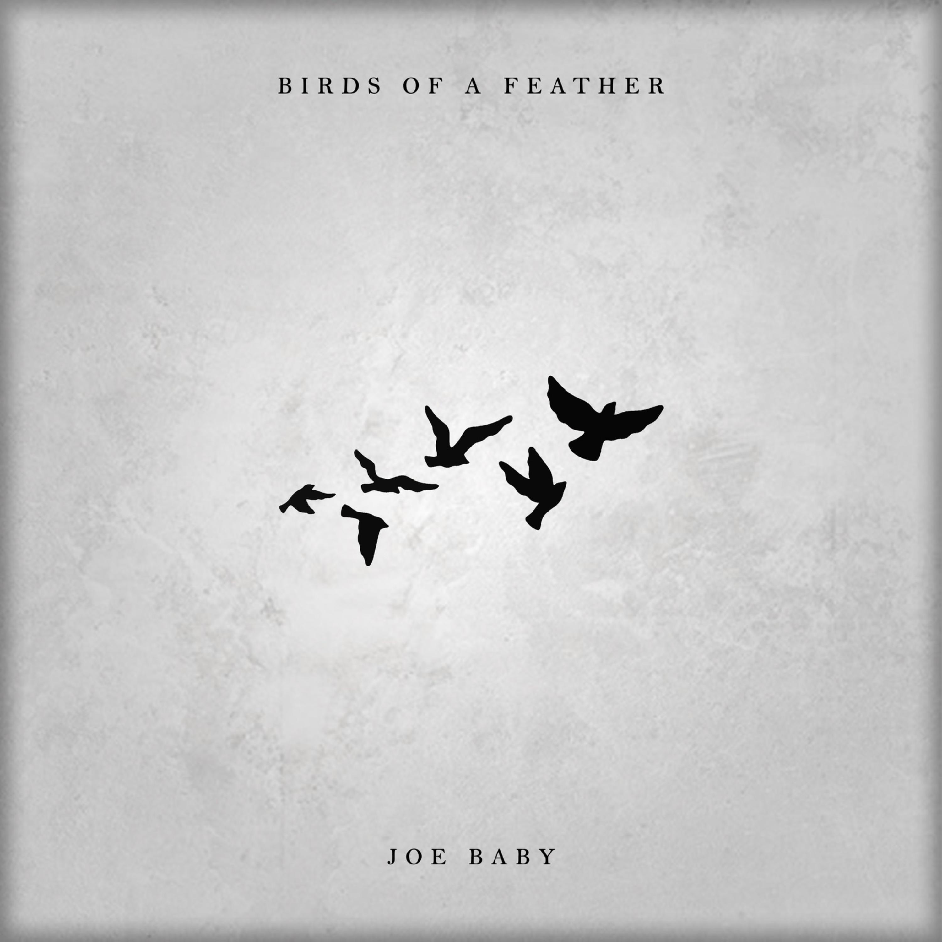 Birds Of A Feather artwork