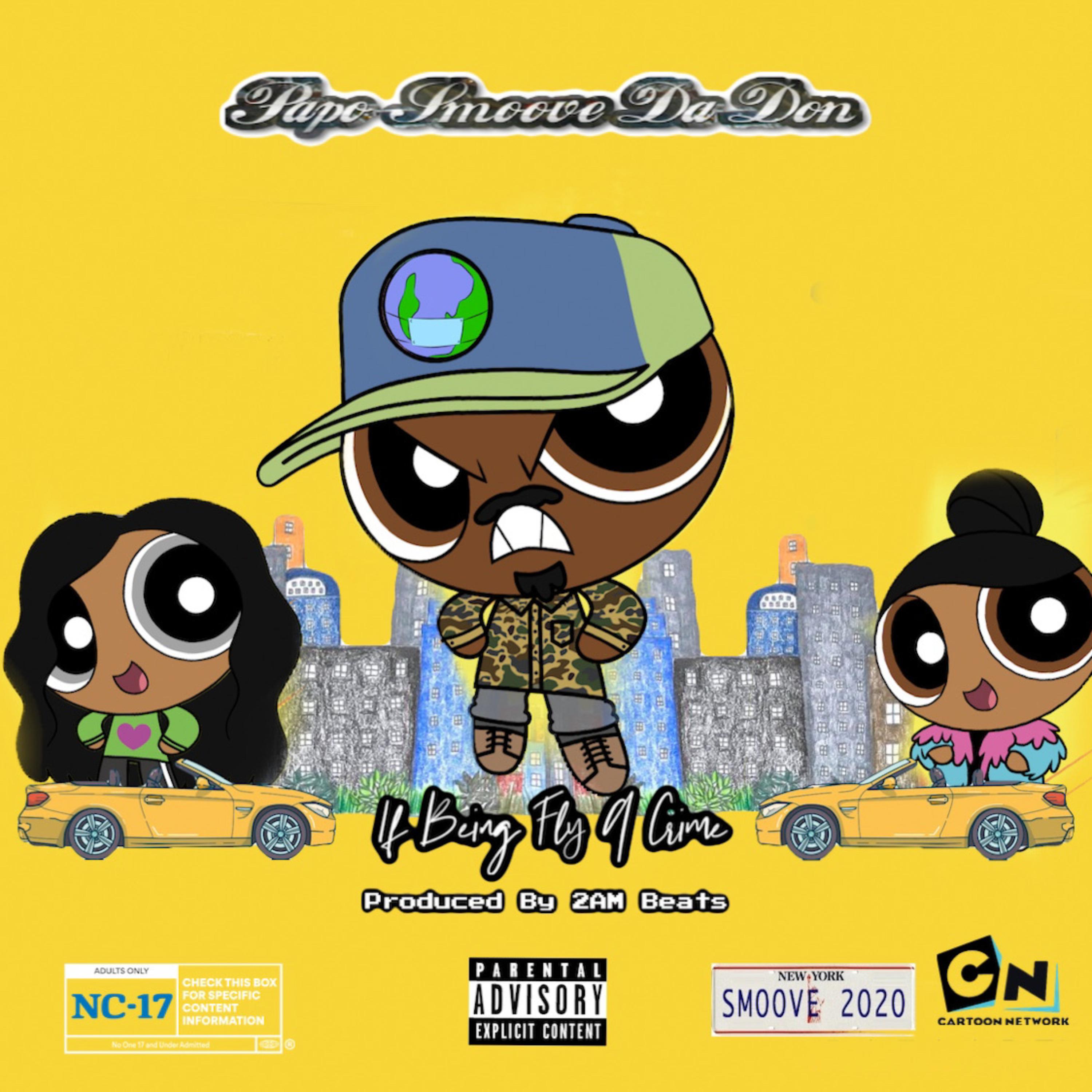 If Being Fly A Crime artwork