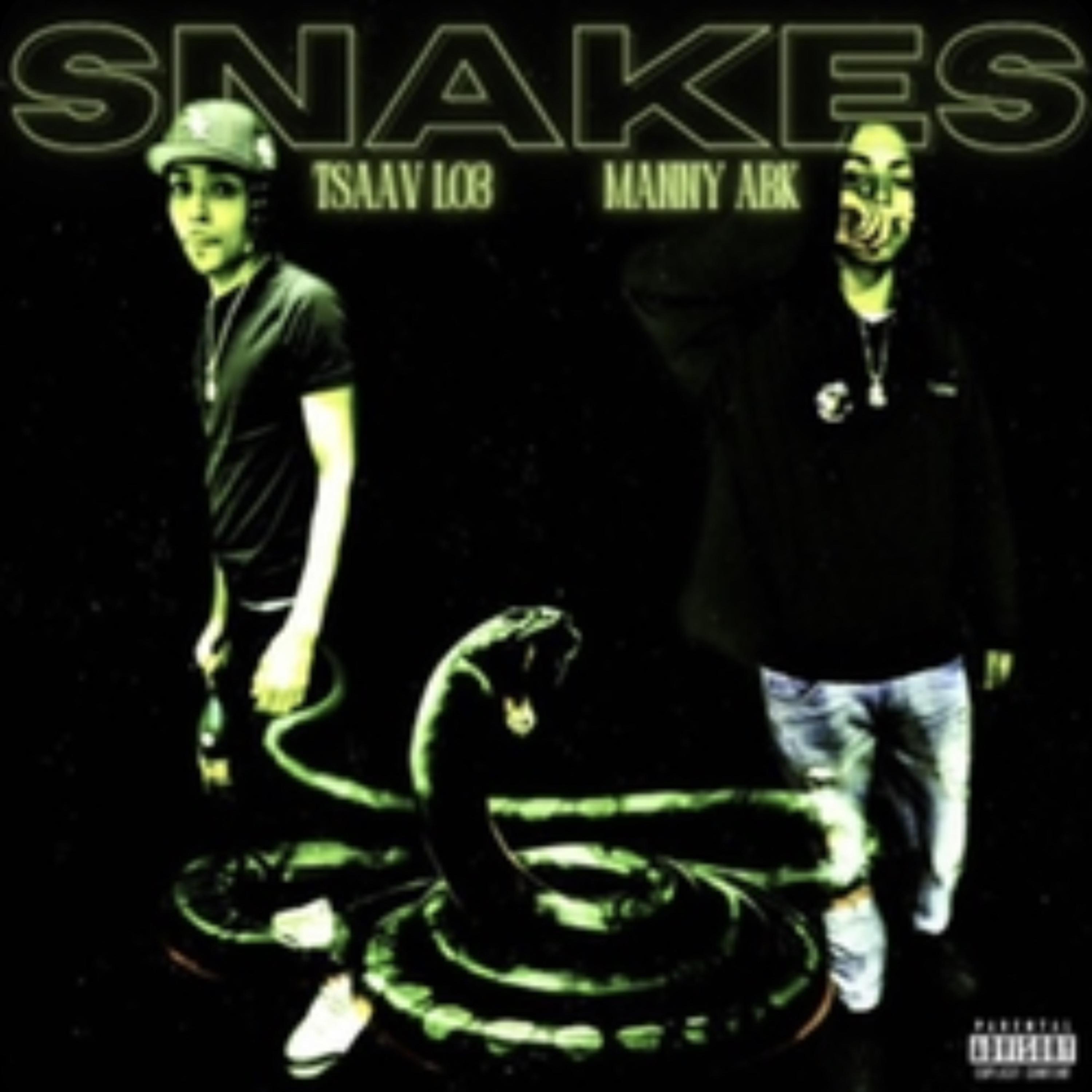 Snakes artwork