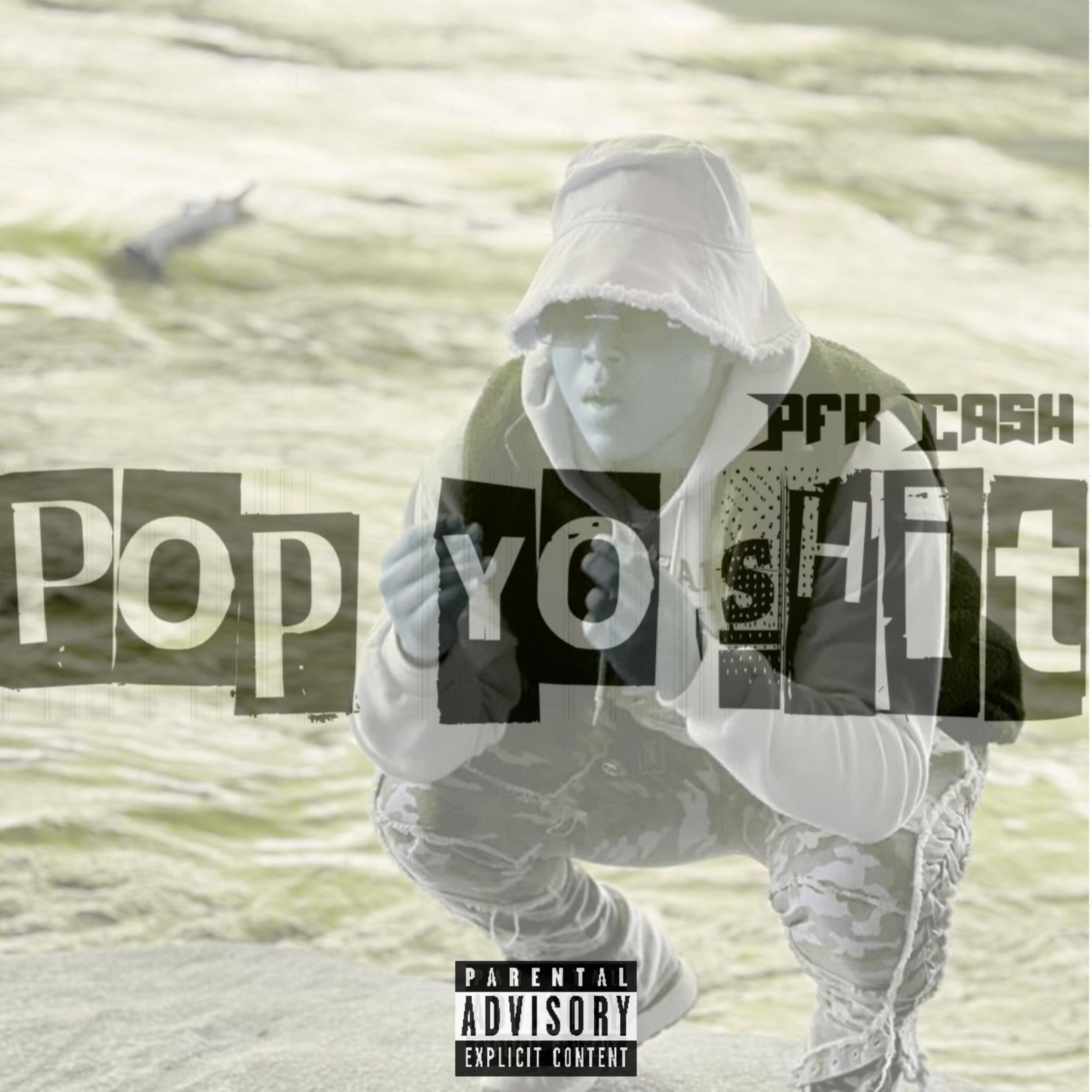 PYS(PopYoShit) artwork