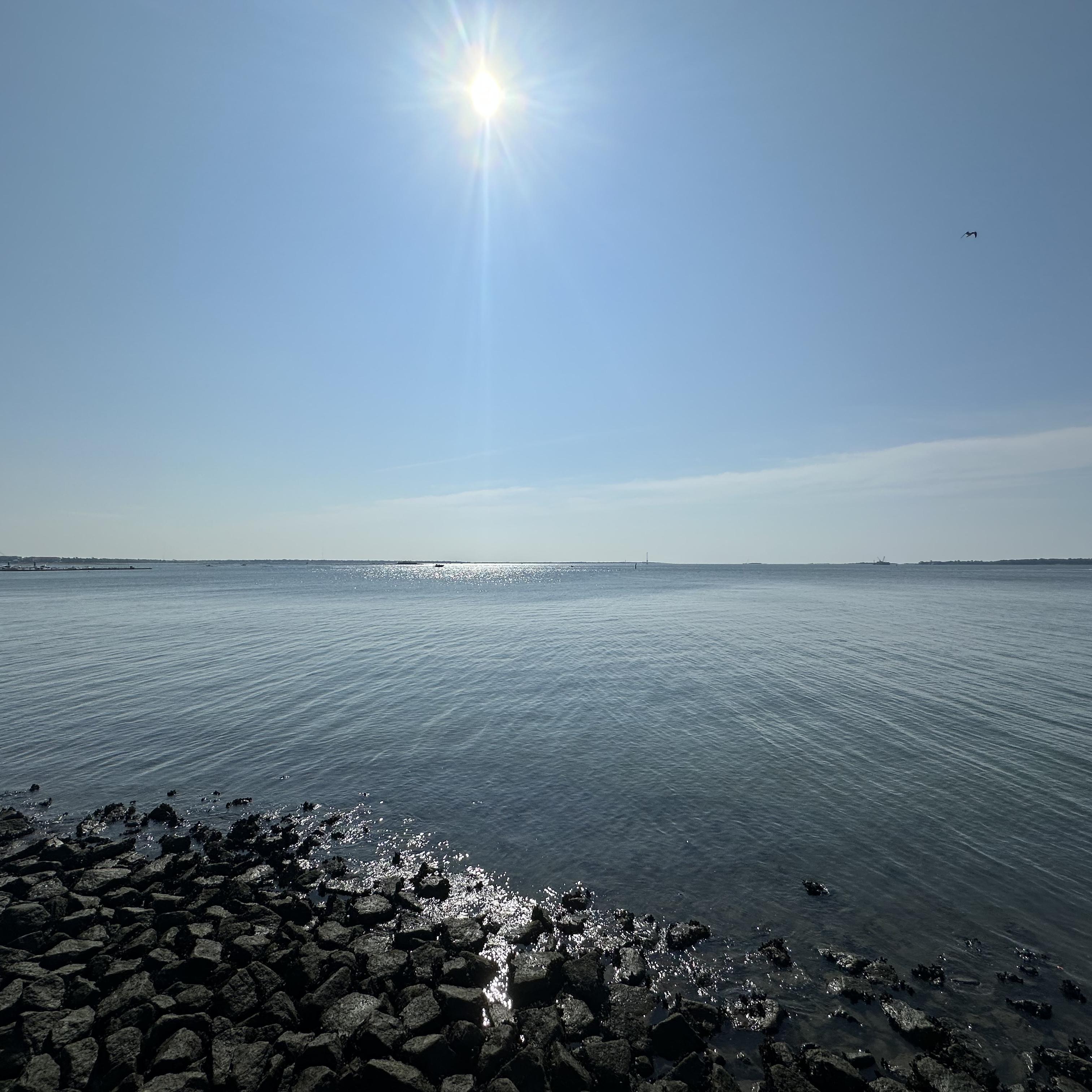 I Gotta Come Clean artwork