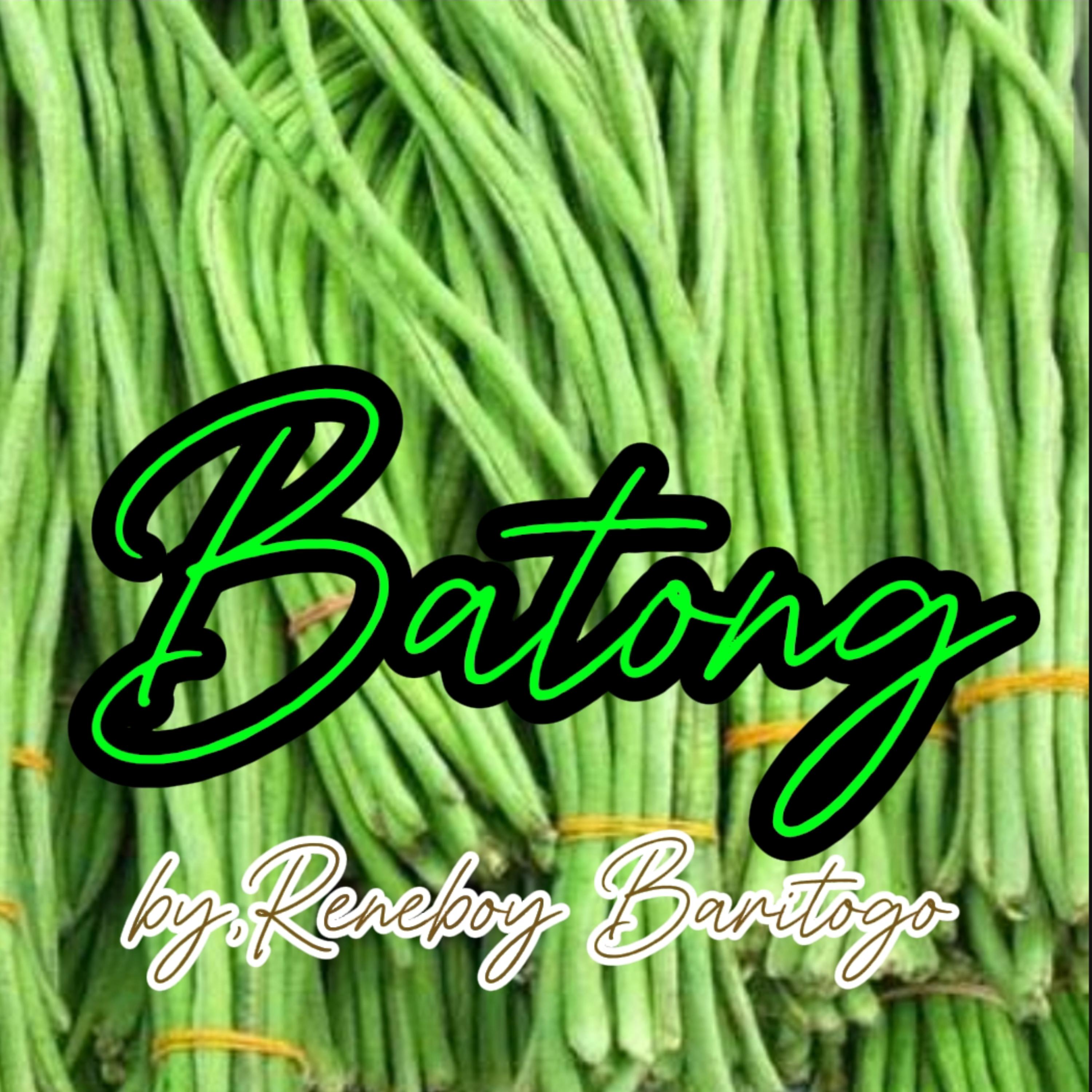 Batong (acoustic) artwork