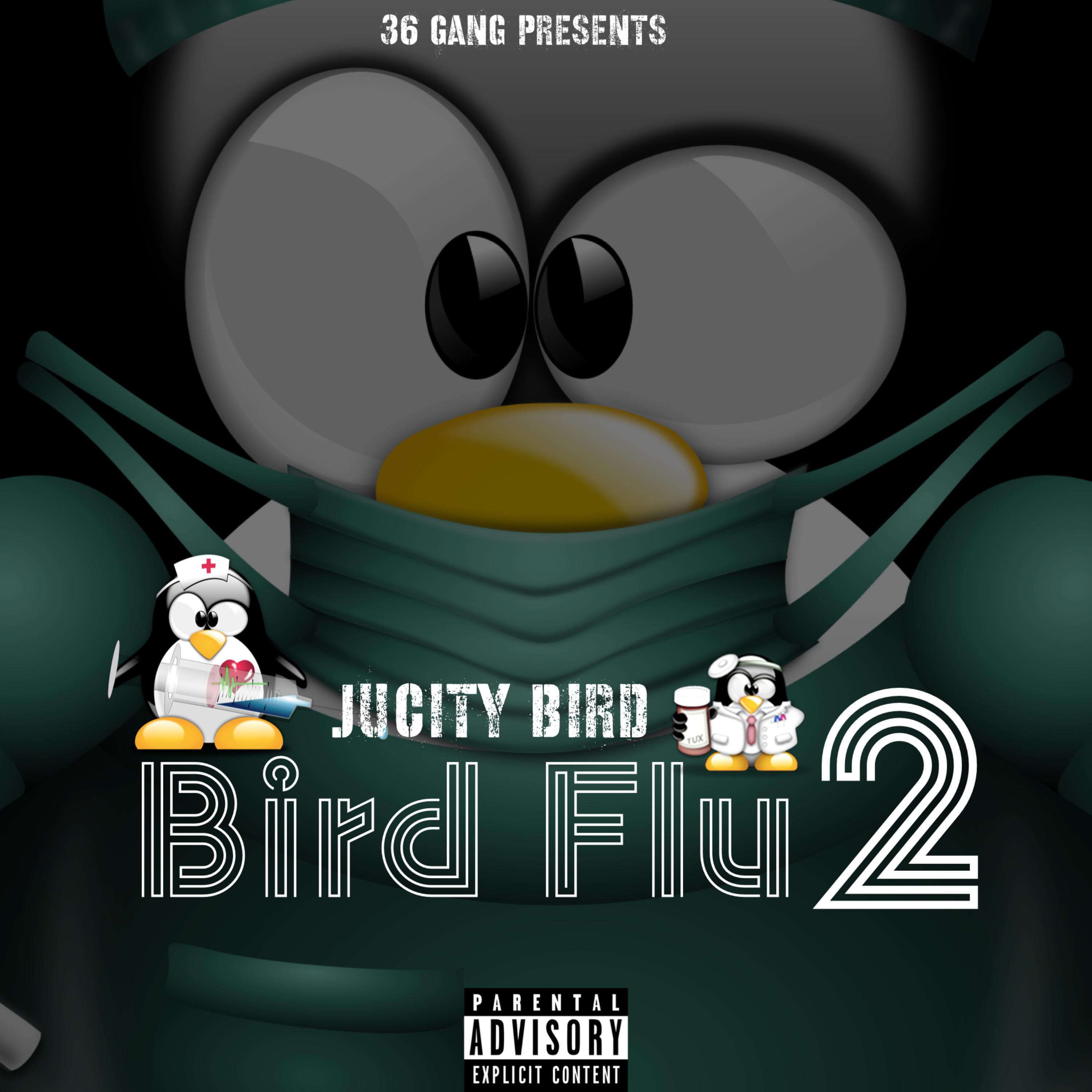 Bird Flu 2 artwork
