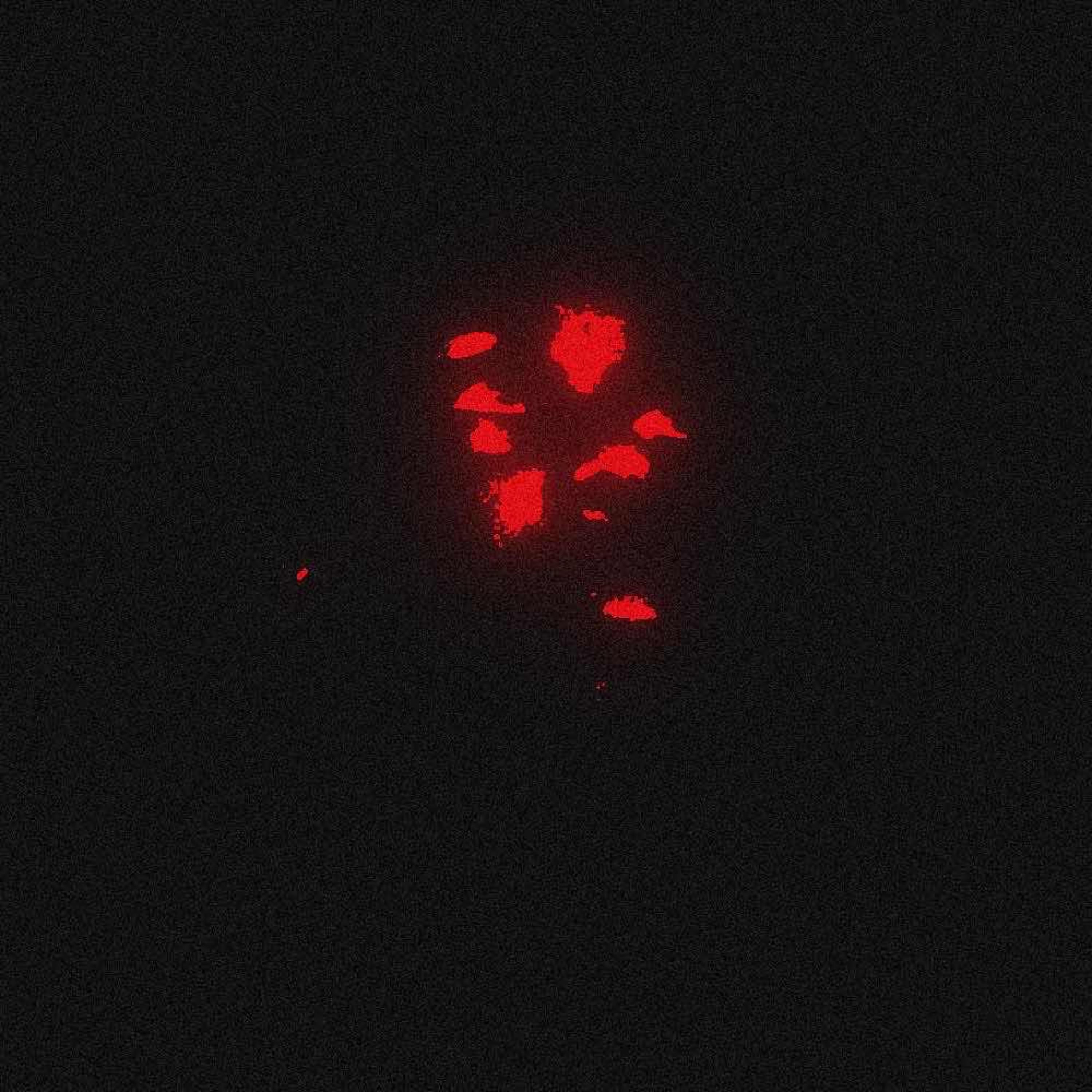 cant run artwork