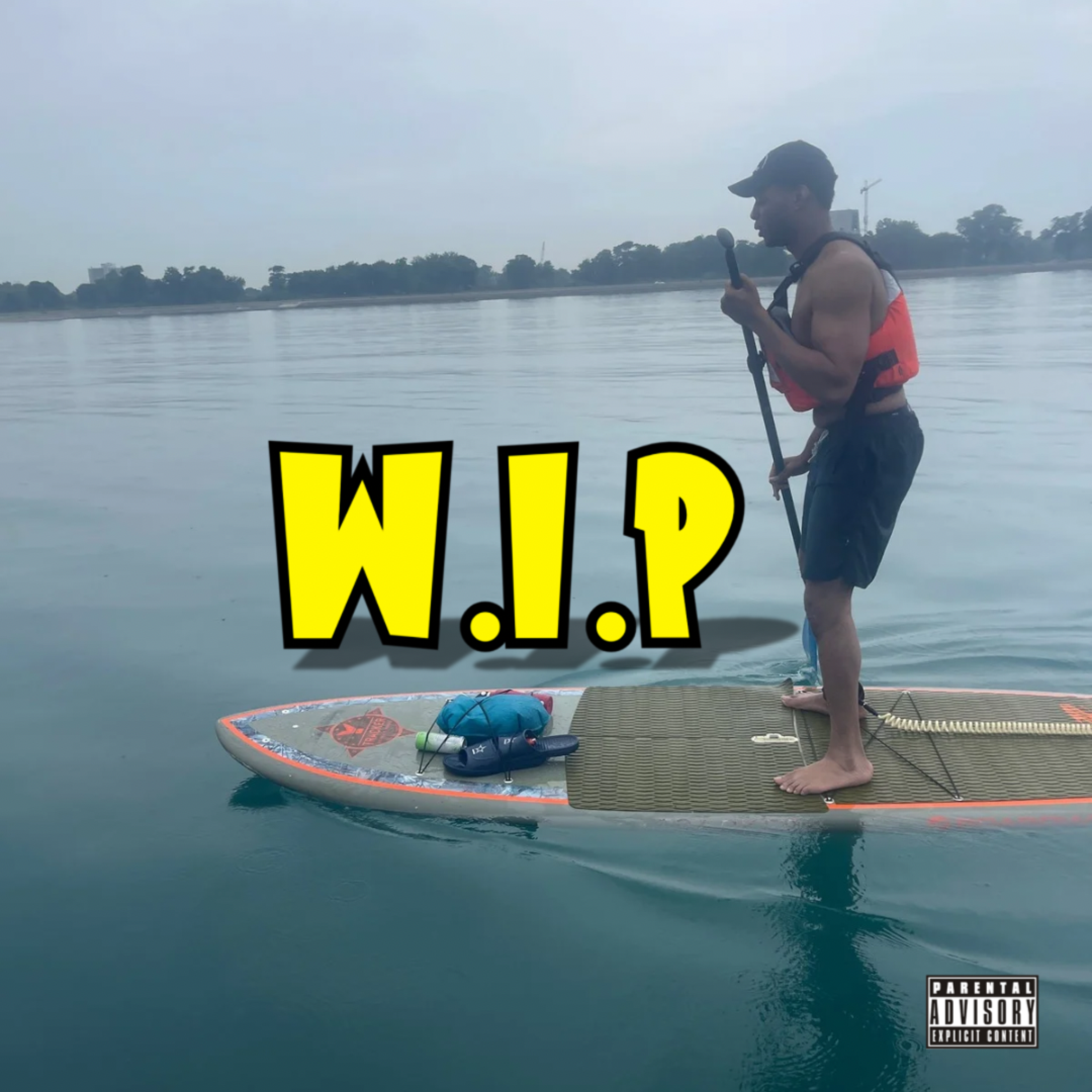 Work In Progress by Osa North cover art