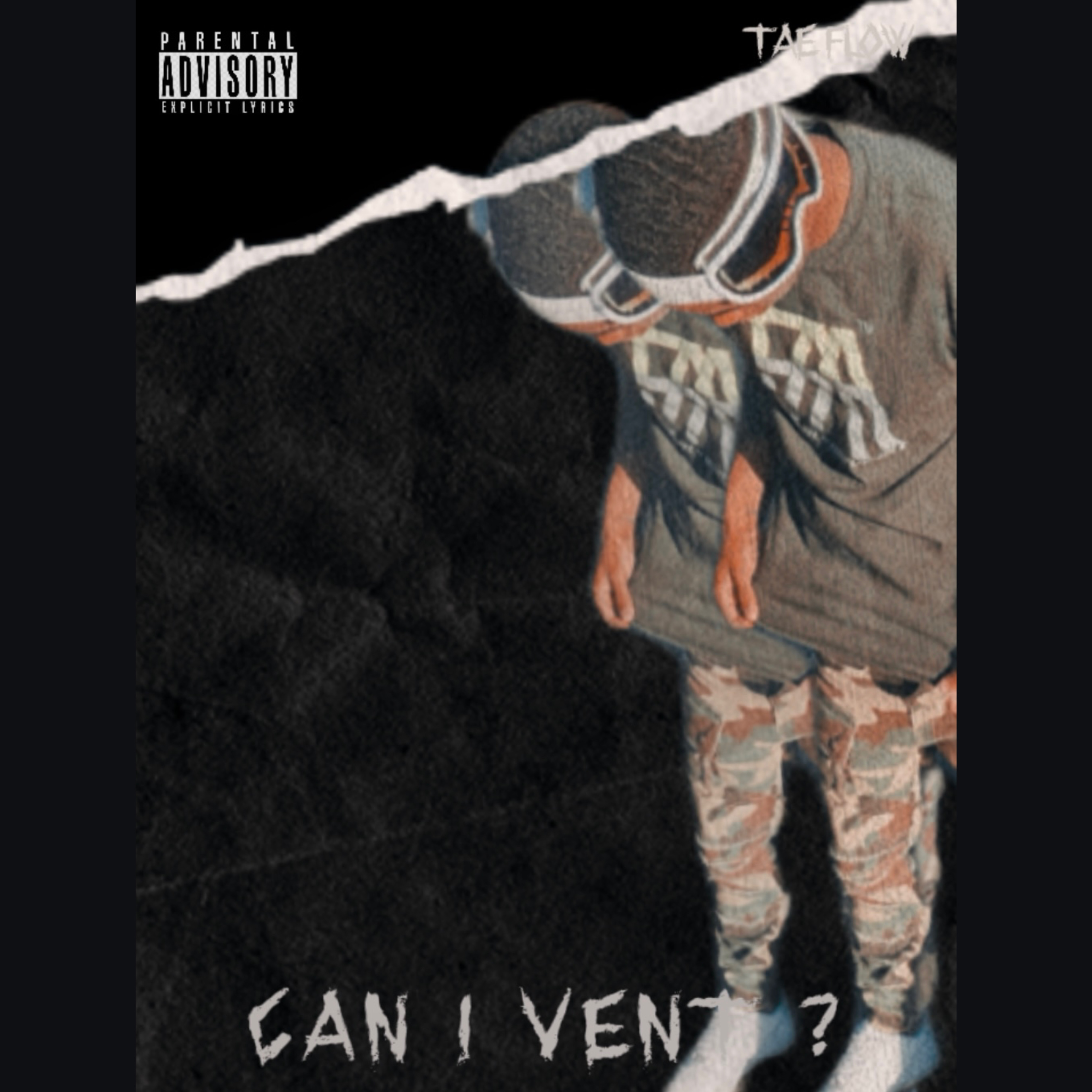 Can I Vent ? artwork