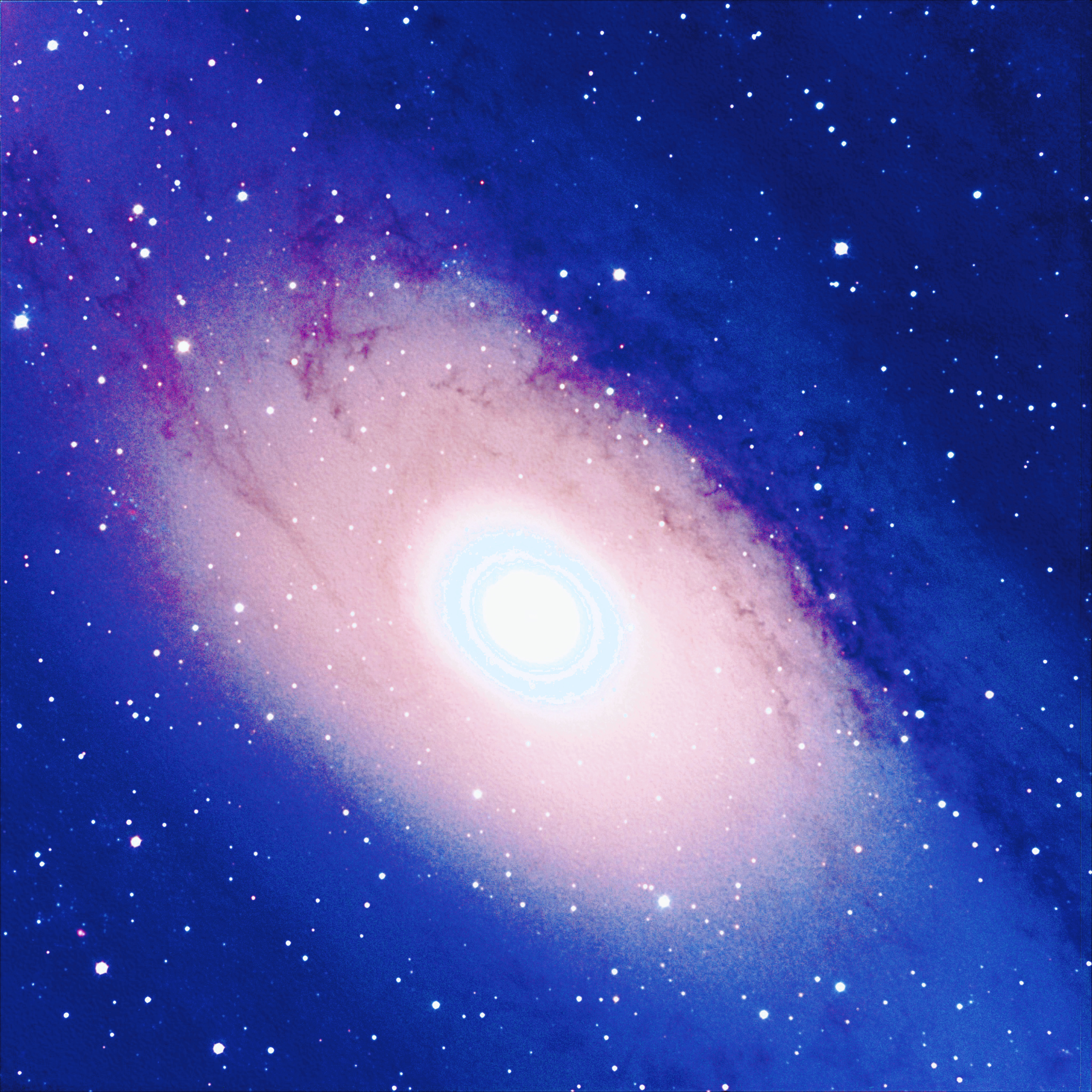 ANDROMEDA by MARJINNBOOZE cover art