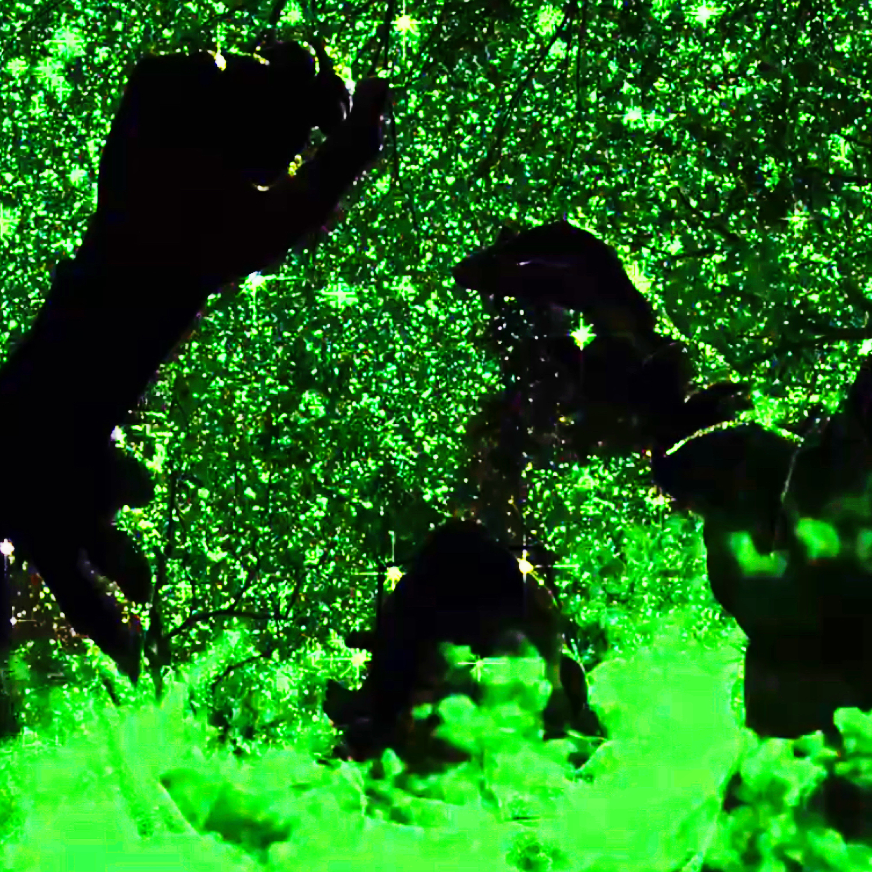 GREEN artwork