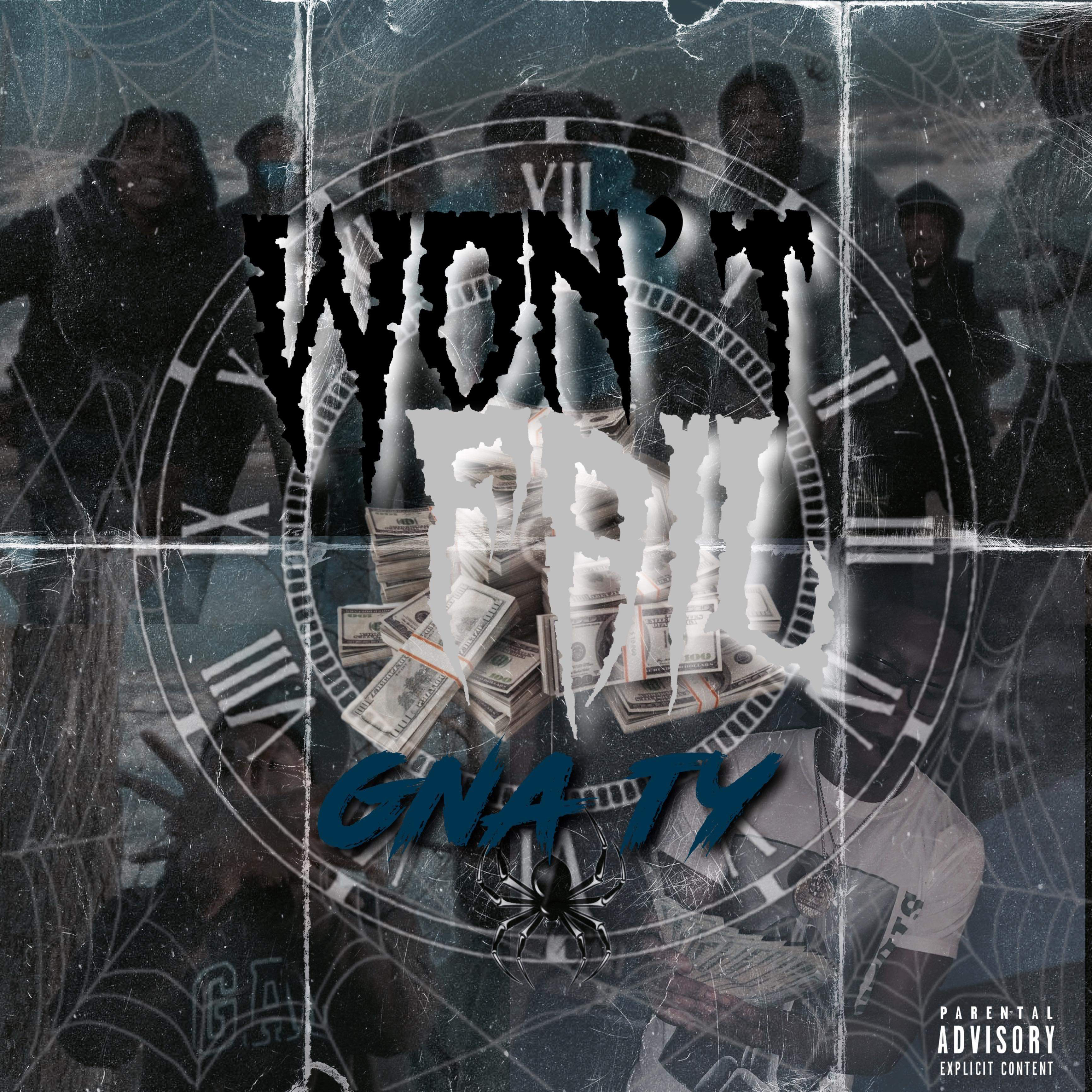 Won't Fail by Ty cover art