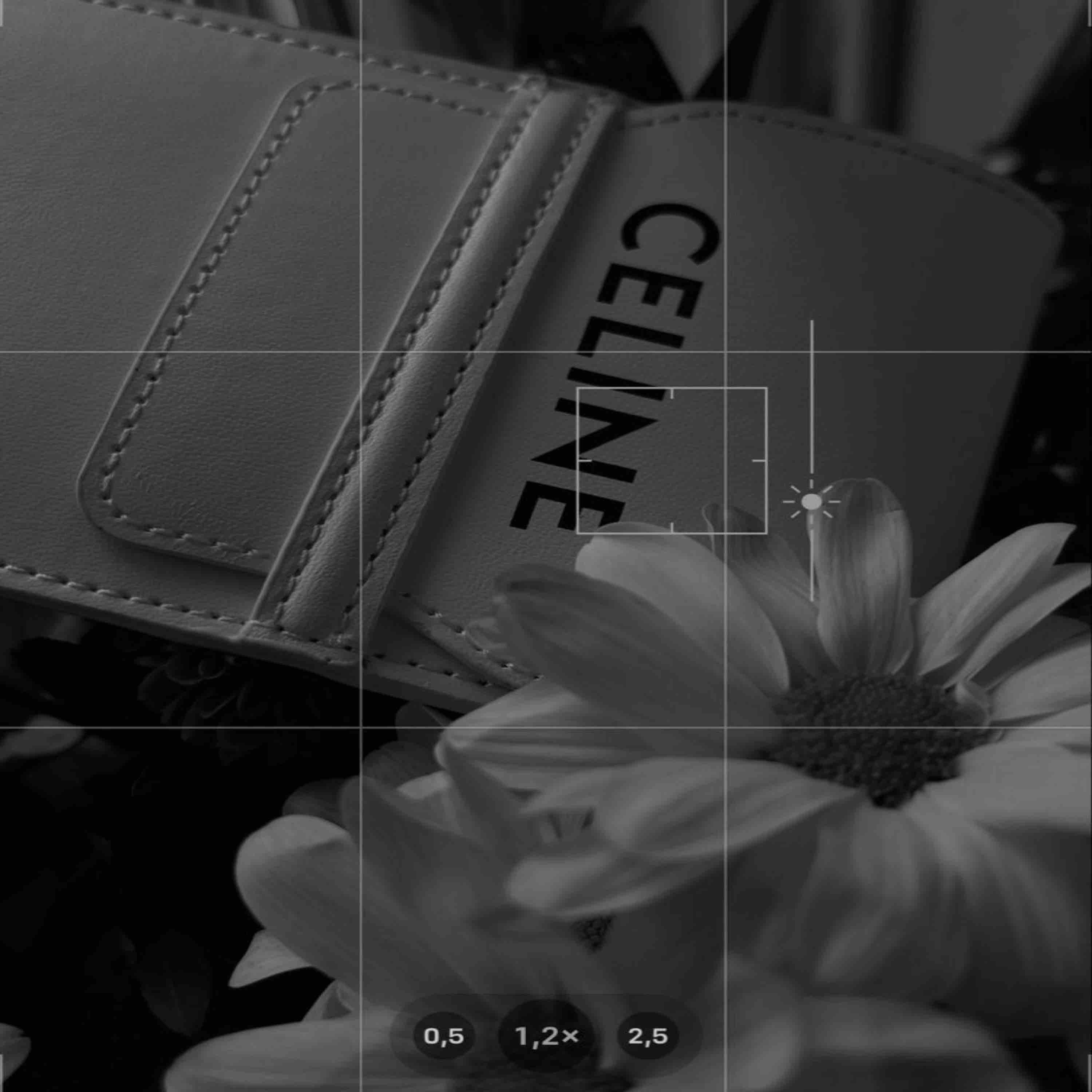 Celine artwork