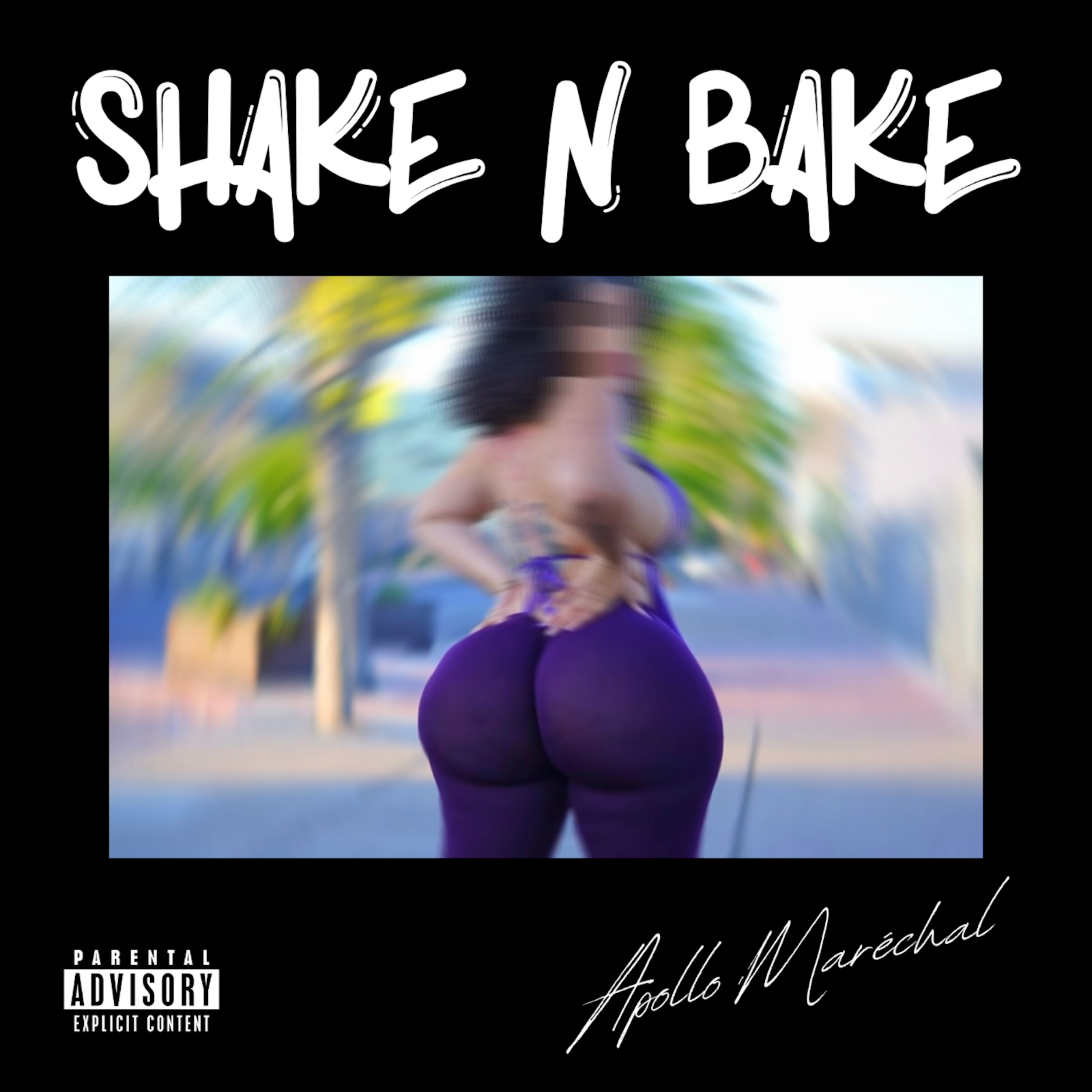 Shake N Bake artwork