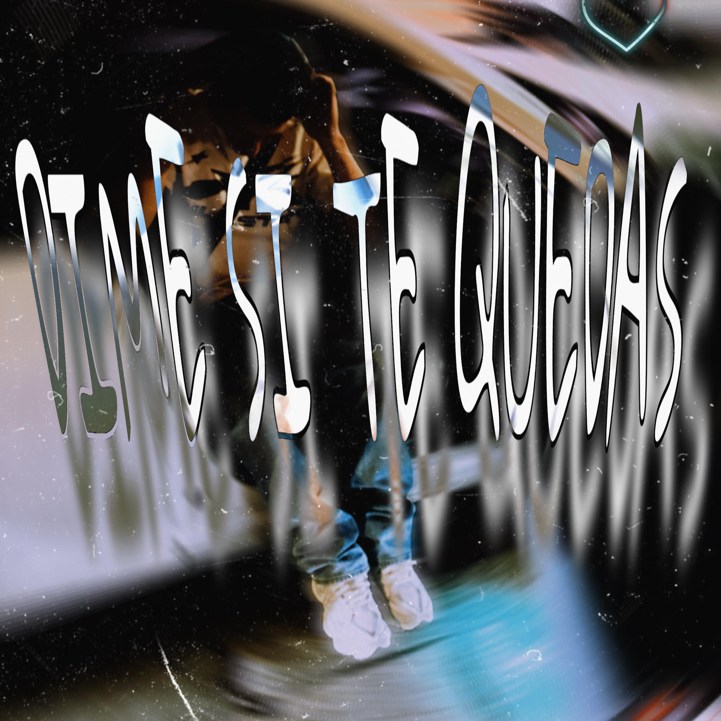 DIME SI TE QUEDAS artwork