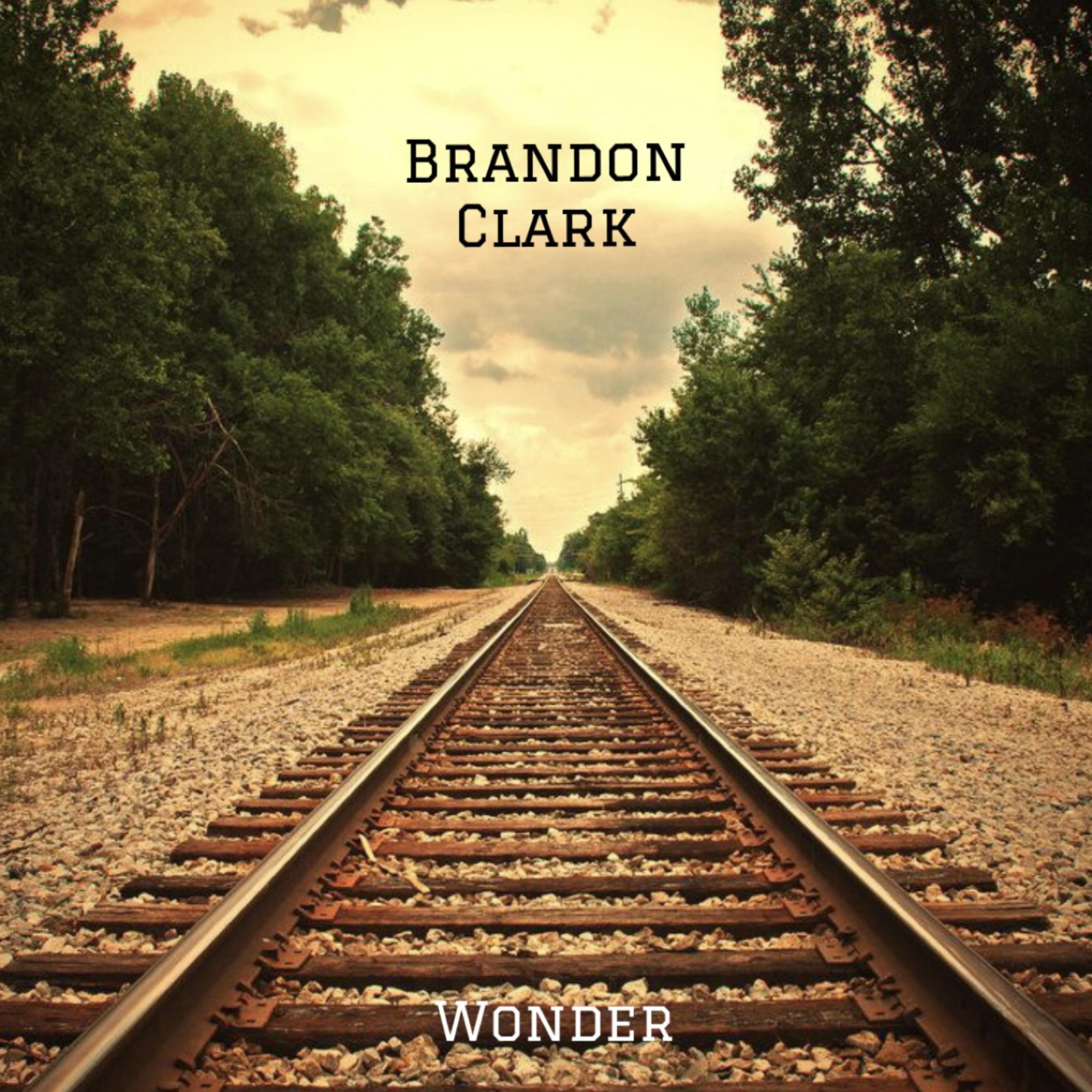 Wonder artwork