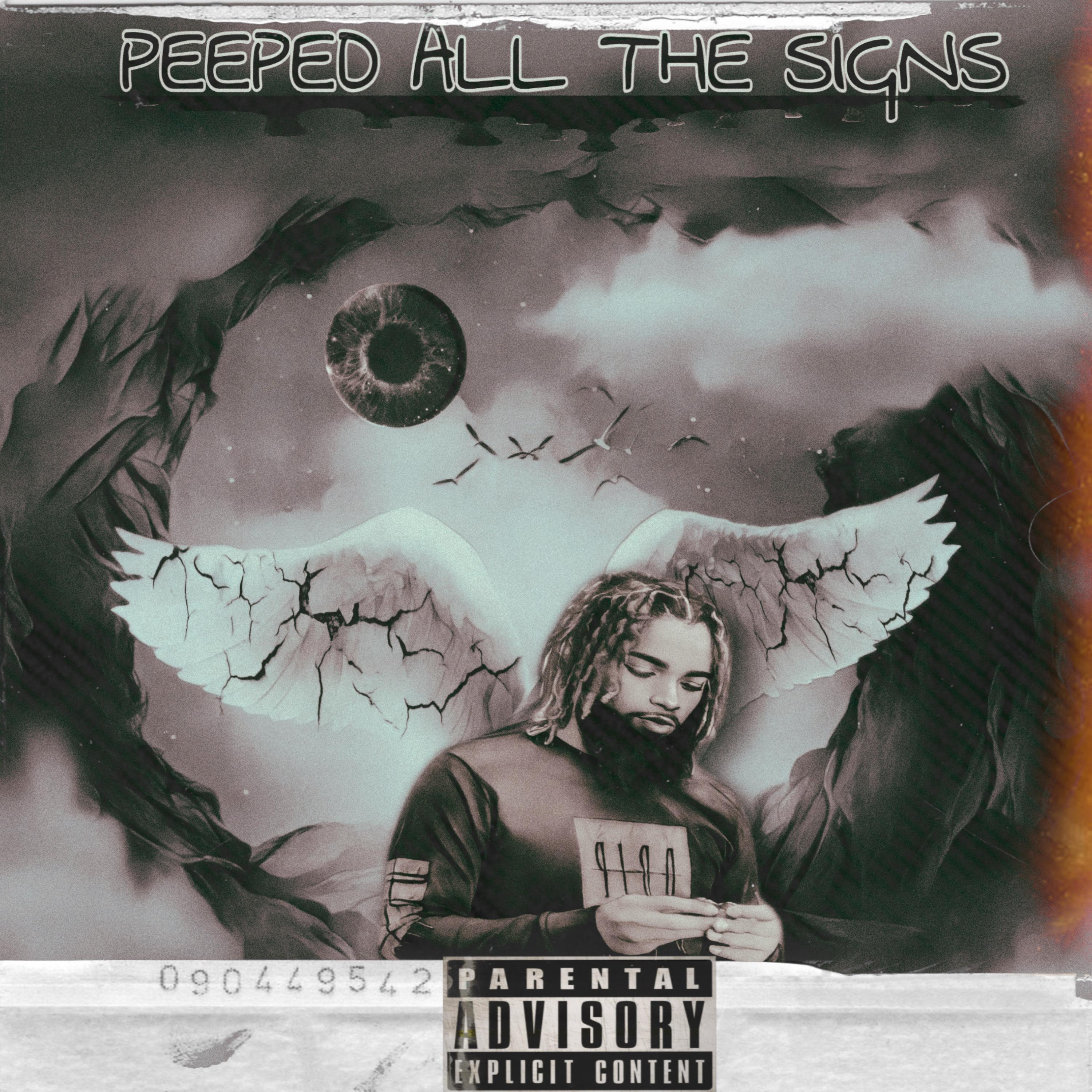 Peeped All The Signs artwork