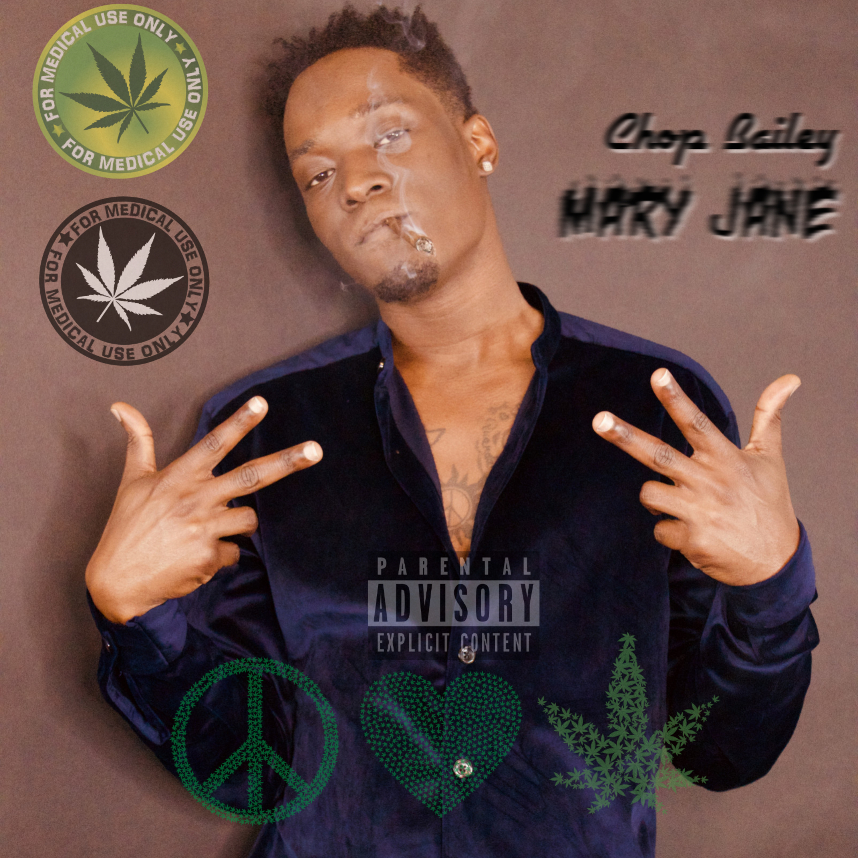 Mary Jane (Way Too Fucking High) artwork