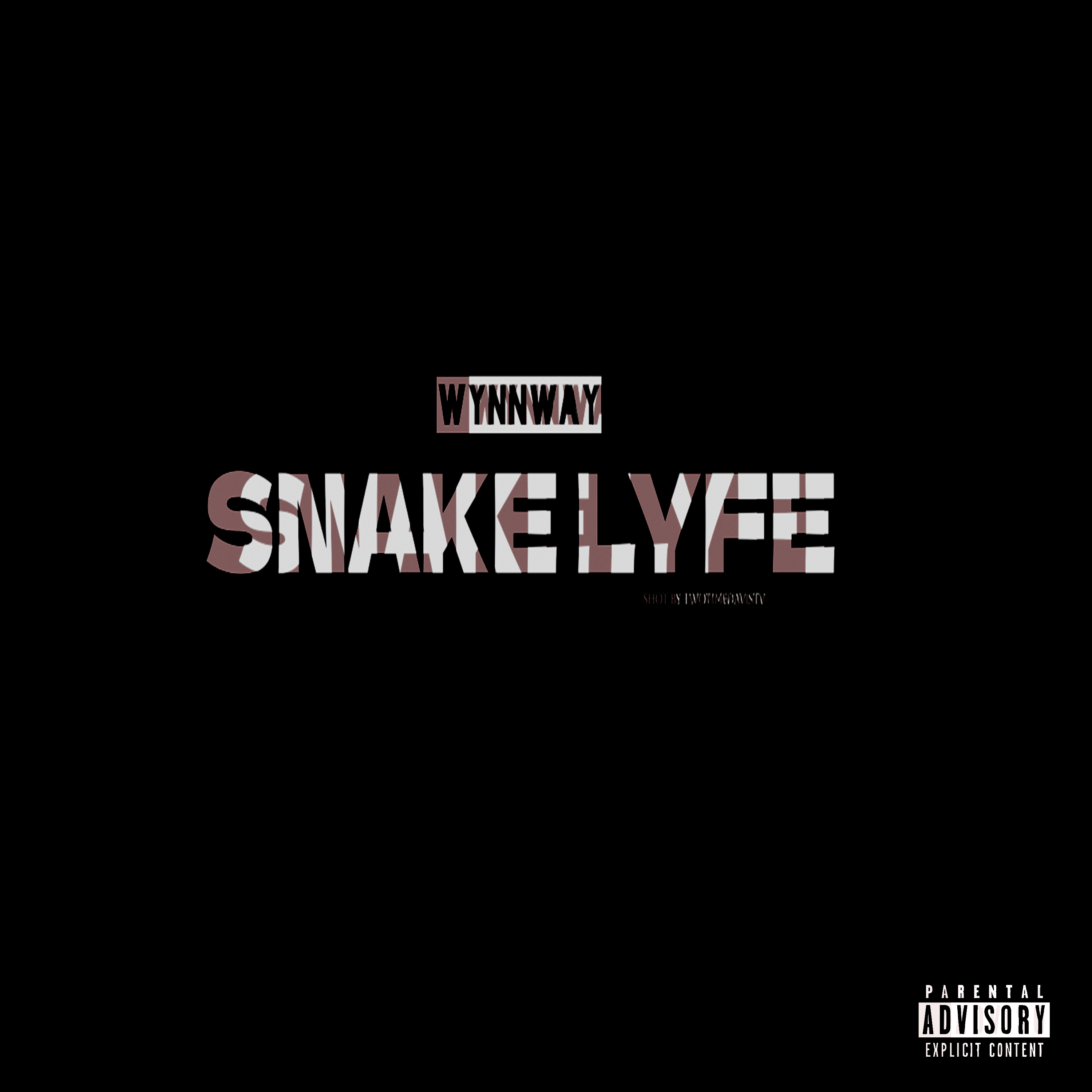 Snake Lyfe artwork