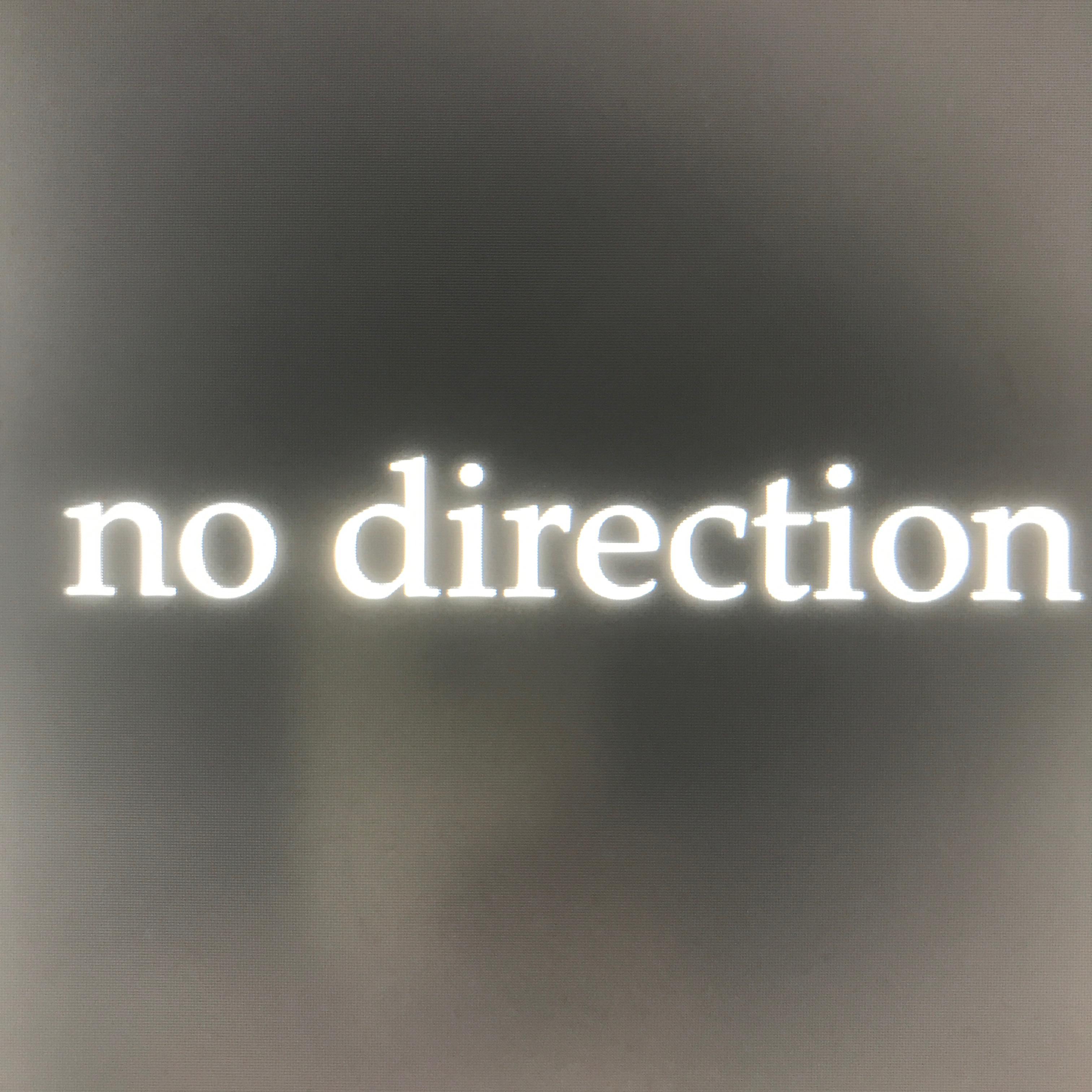 NO DIRECTION artwork