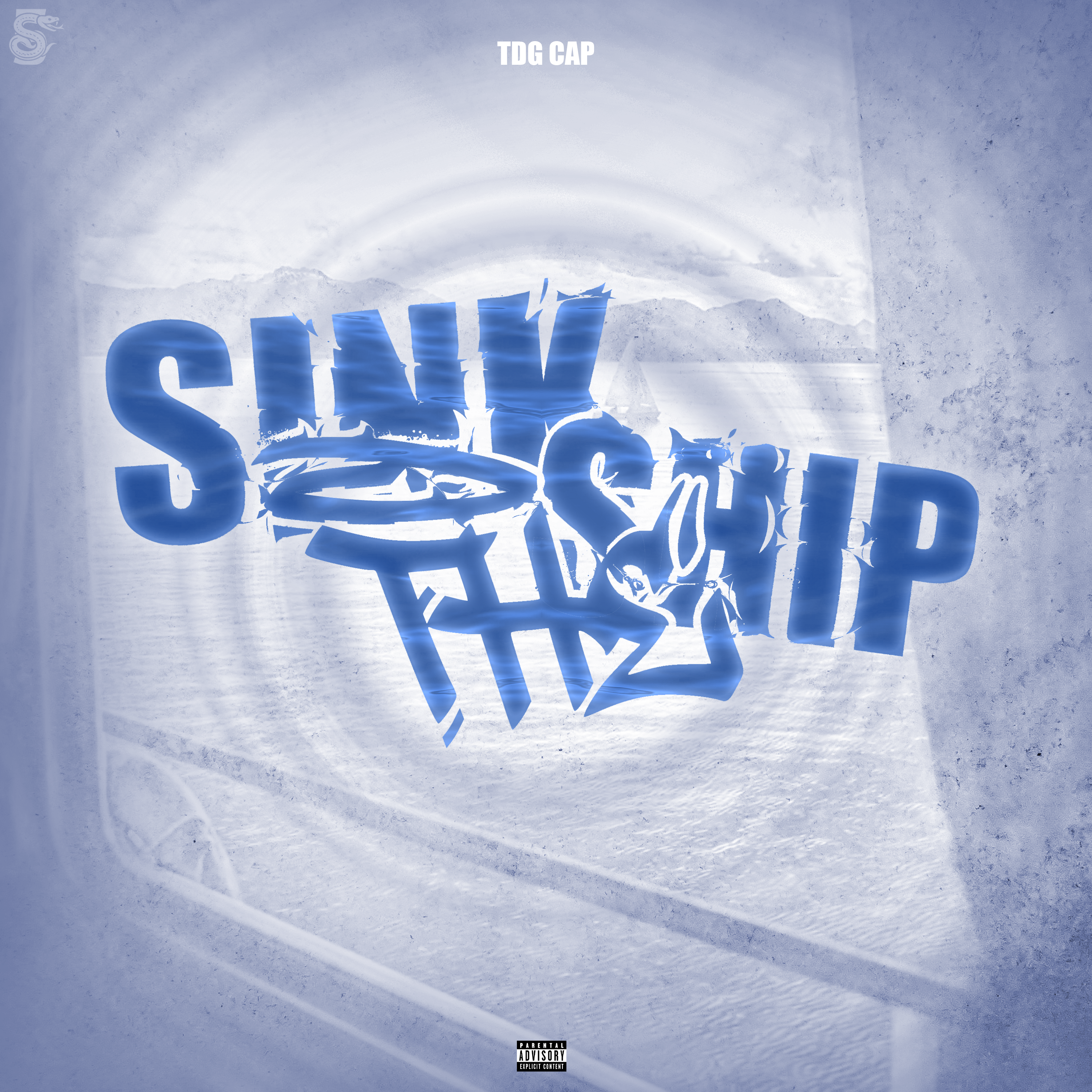 Sink The Ship artwork