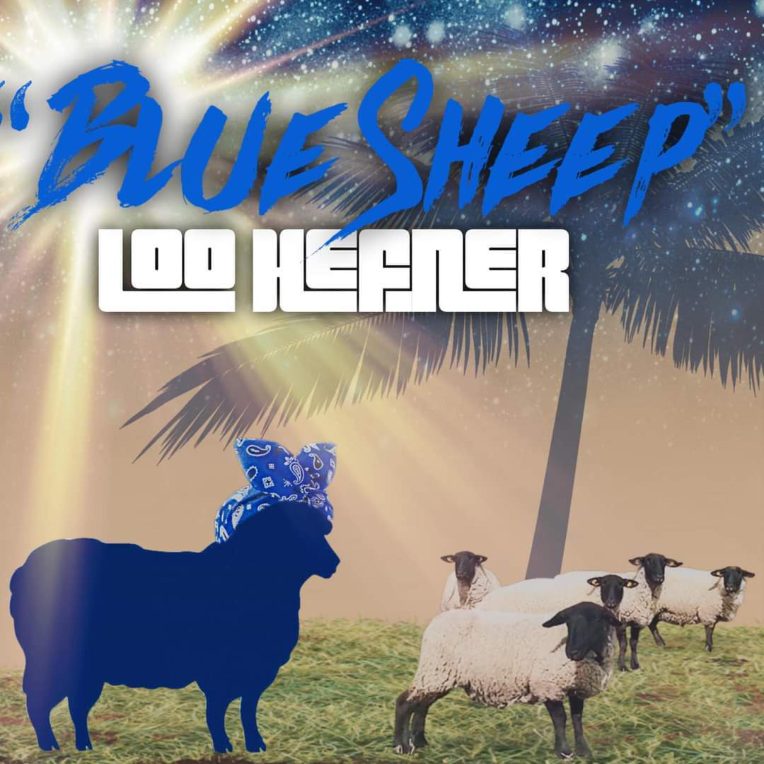 Environment by Loo Hefner cover art