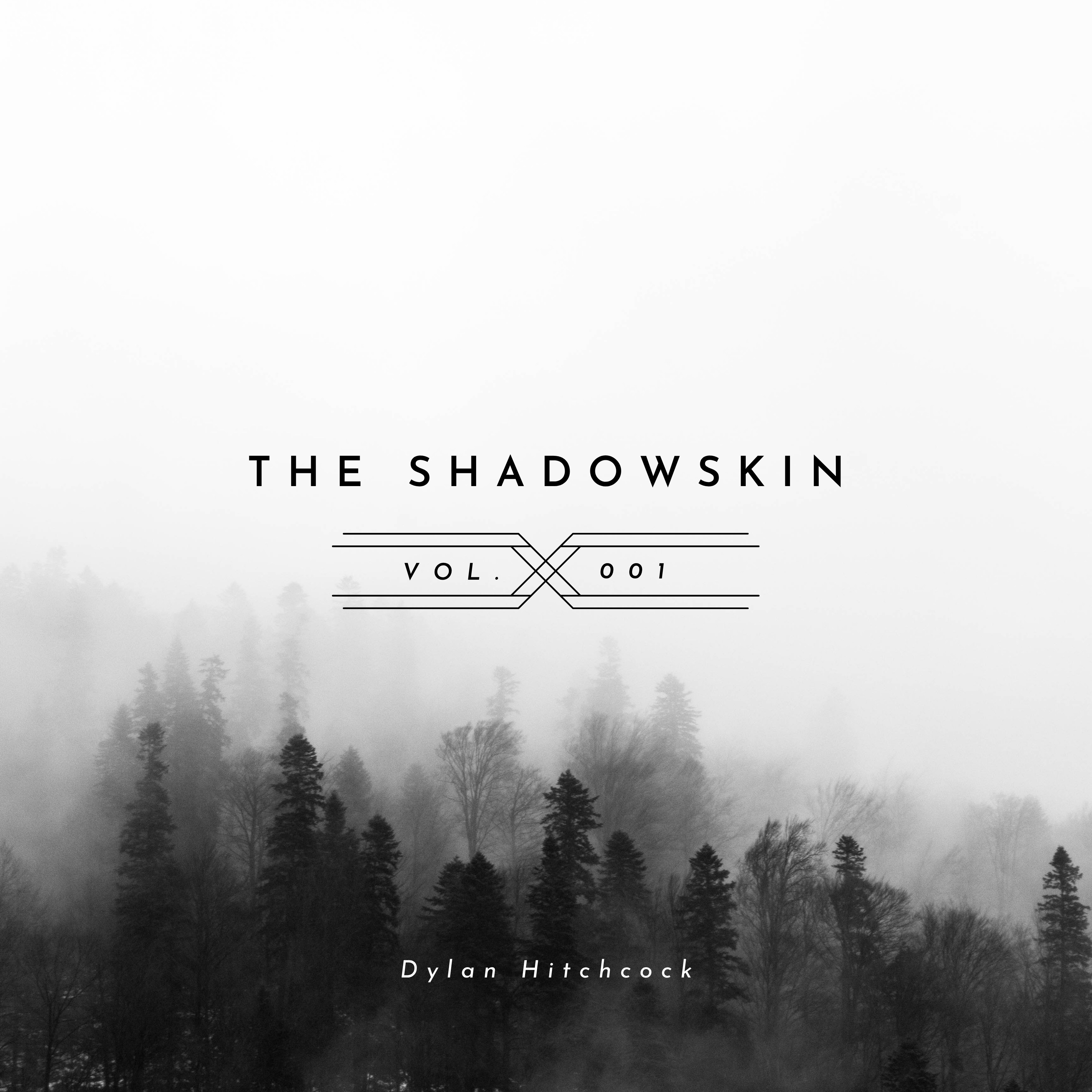 The Shadowskin - Vol. 1 artwork