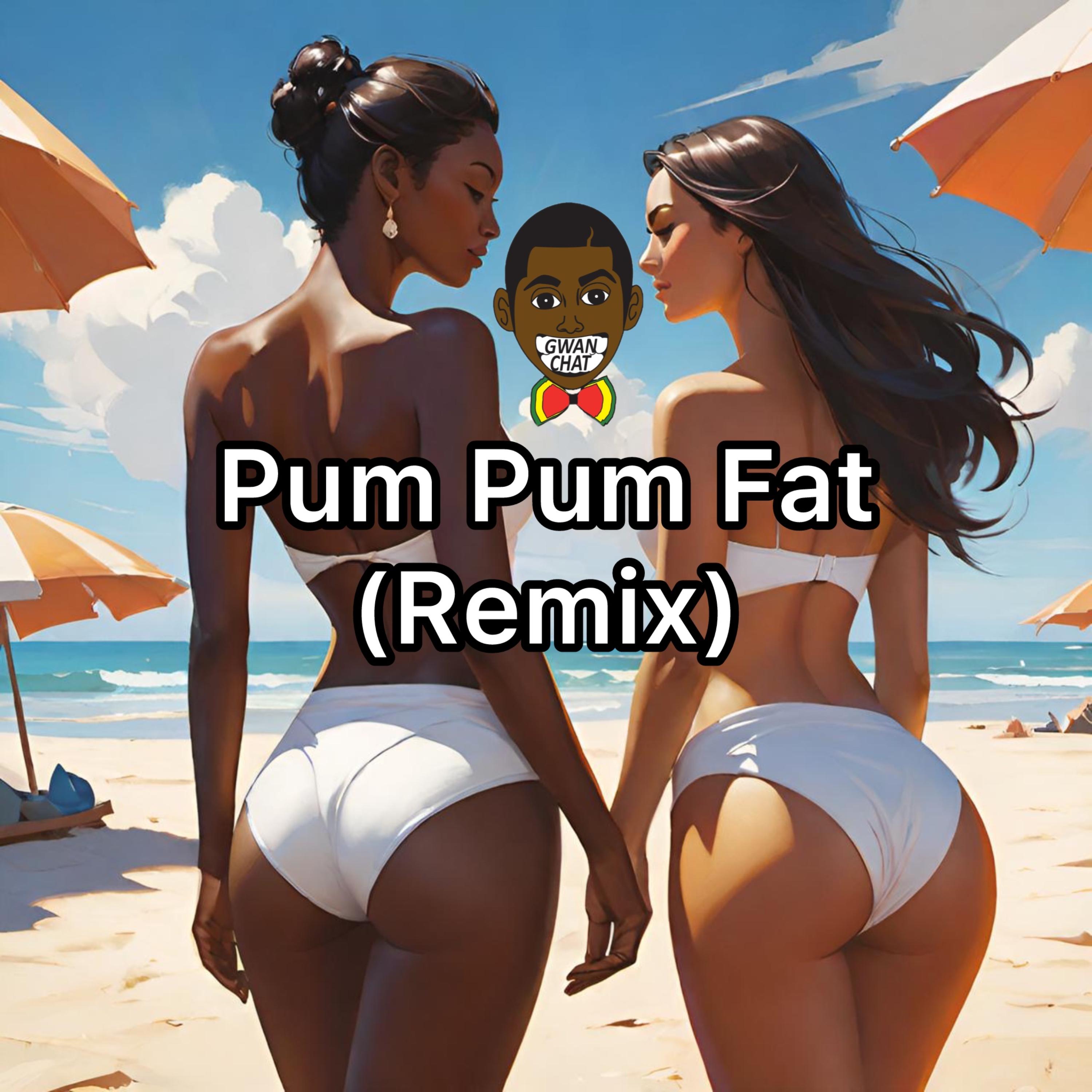 Pum Pum Fat (Remix) artwork