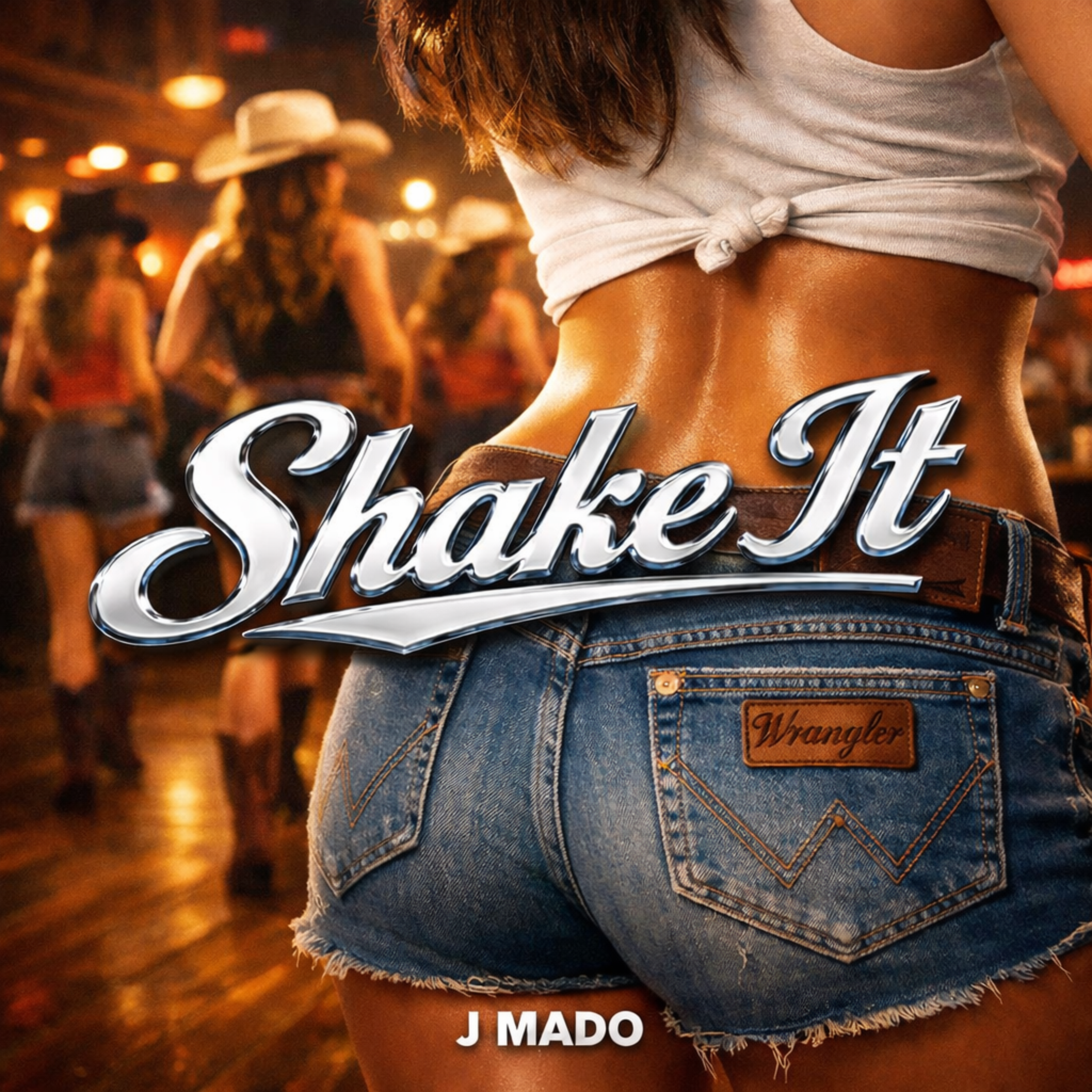 SHAKE IT artwork