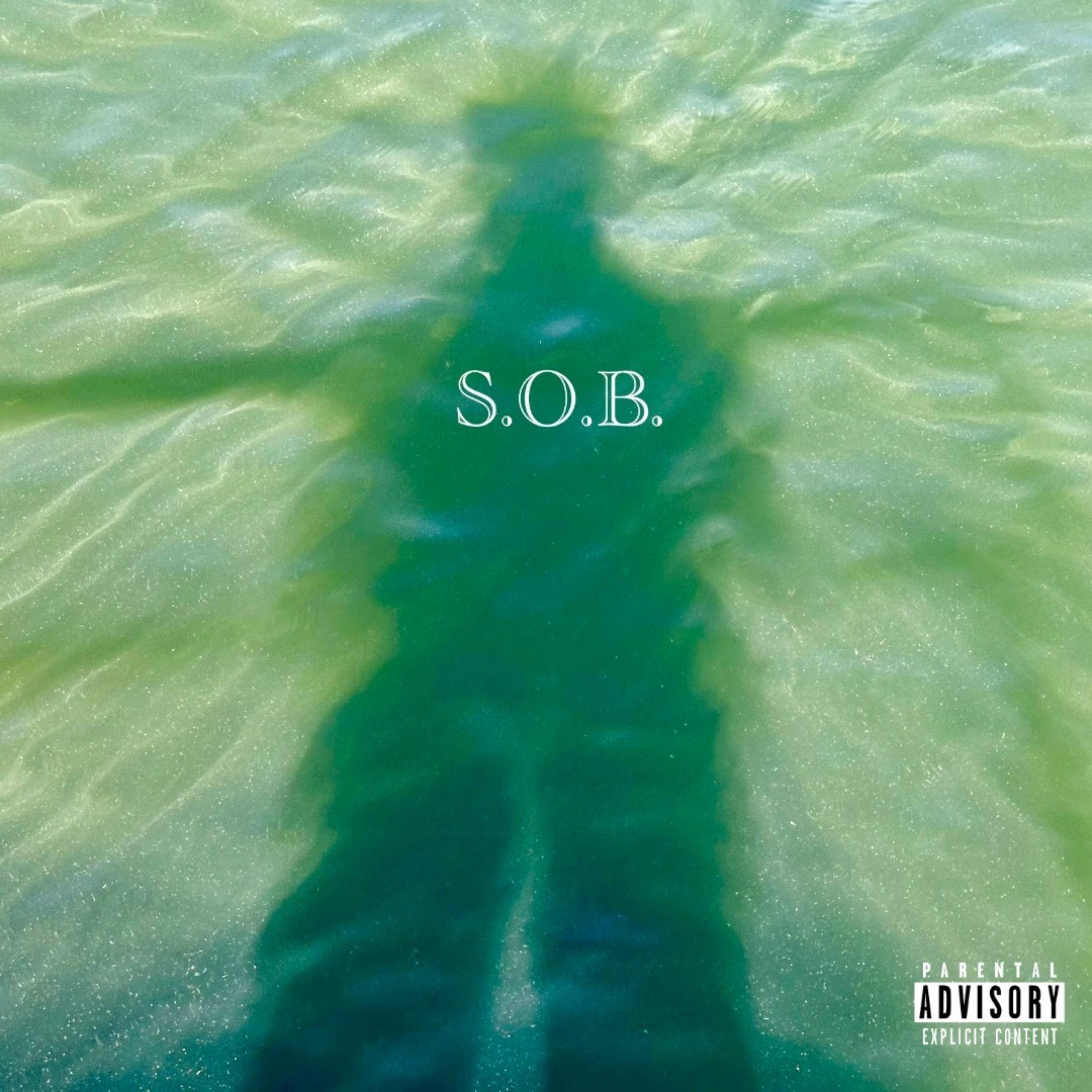 SOB artwork