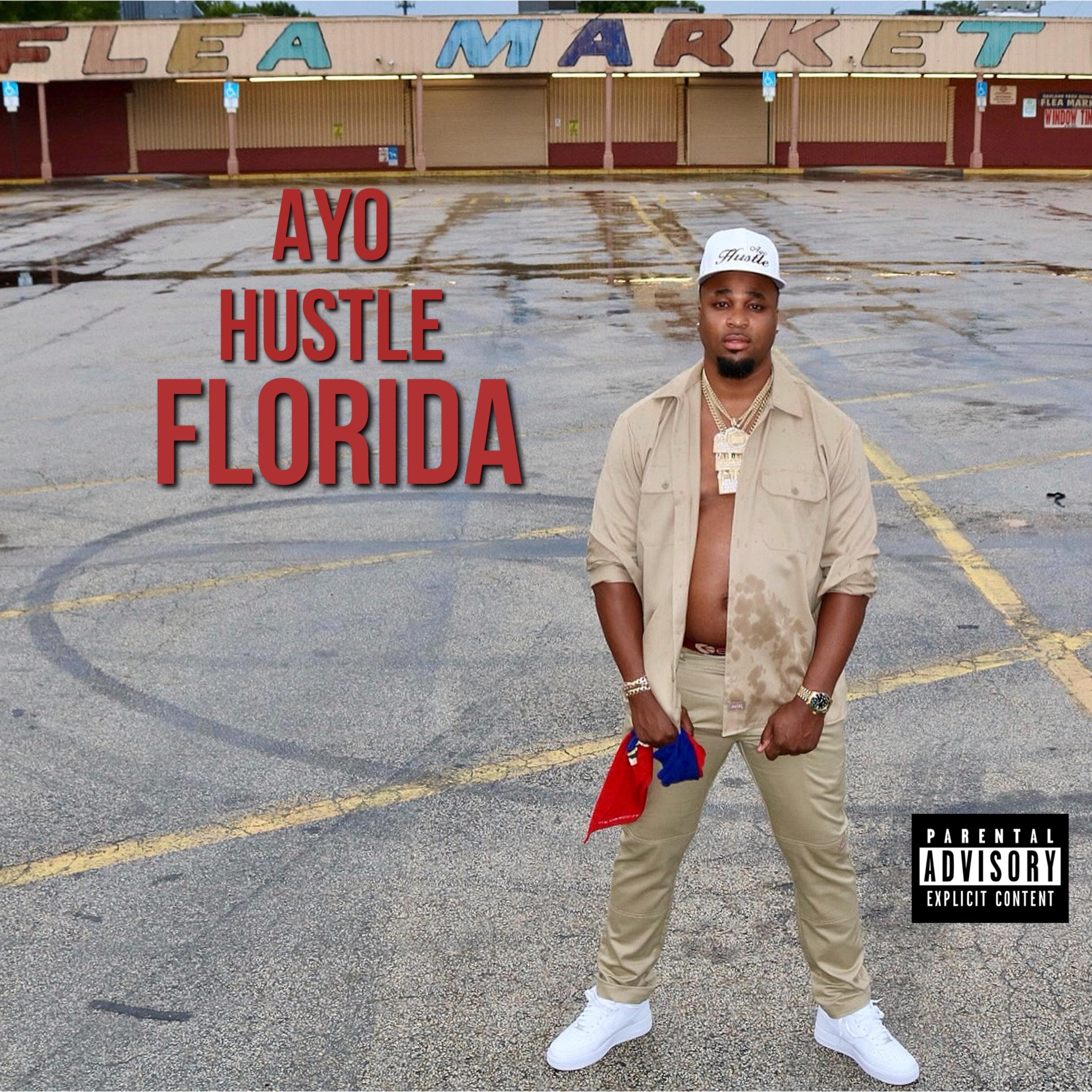 Florida artwork