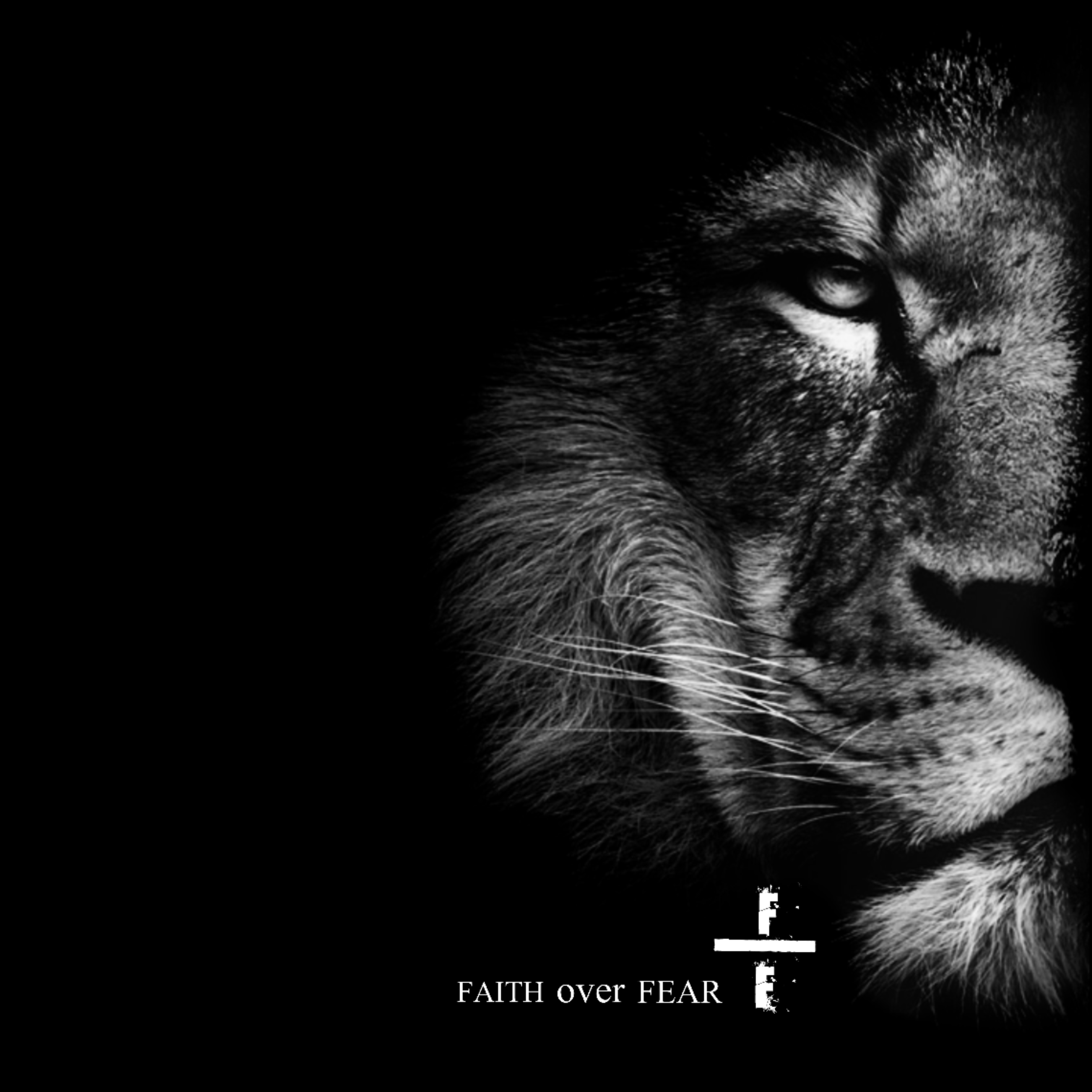 Faith over Fear artwork