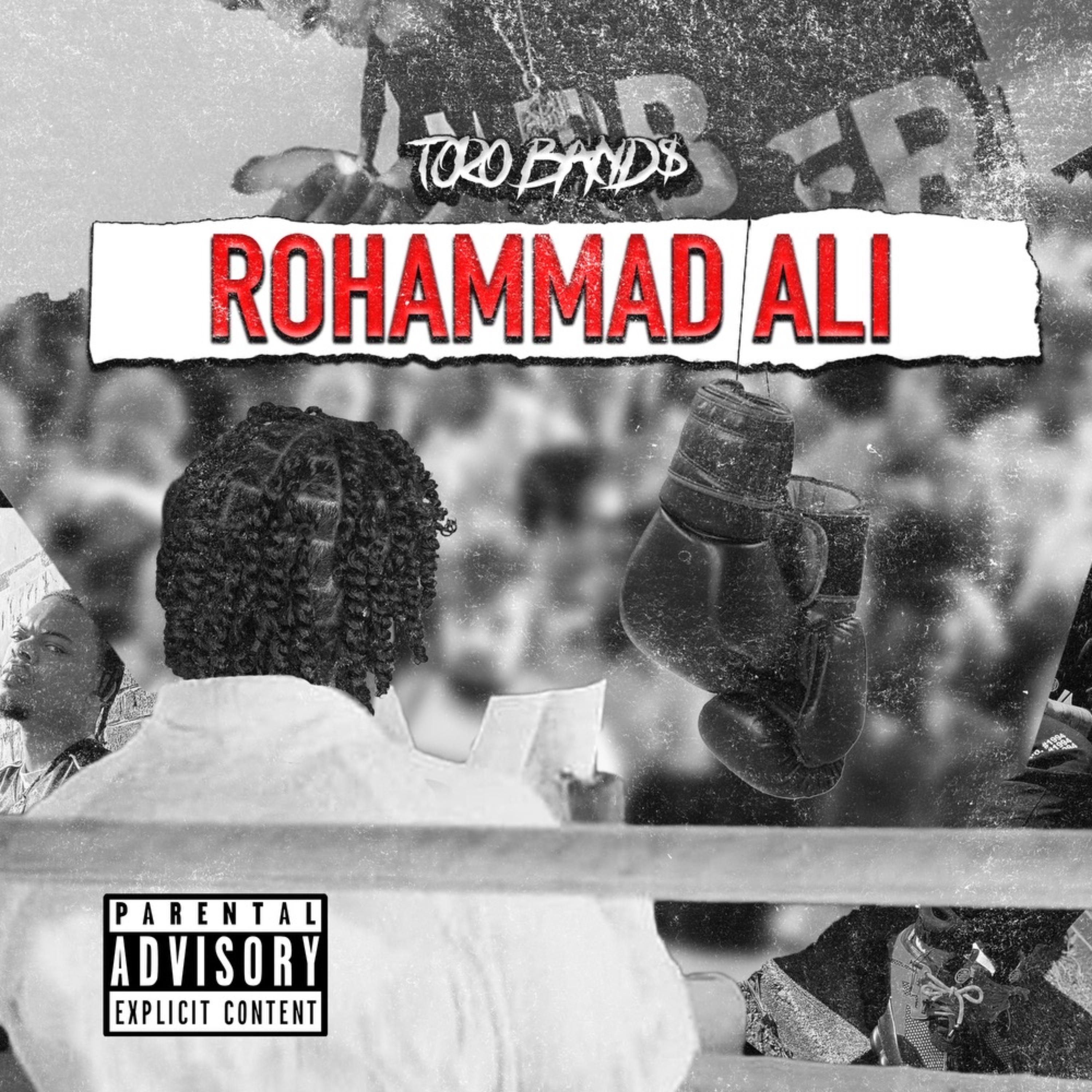RoHammed Ali artwork
