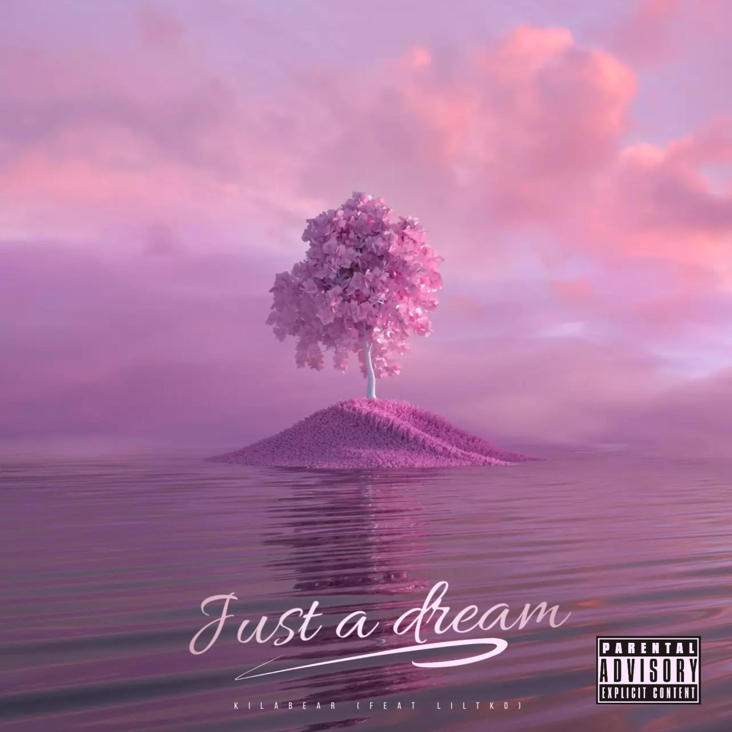 Just A Dream (remix) artwork