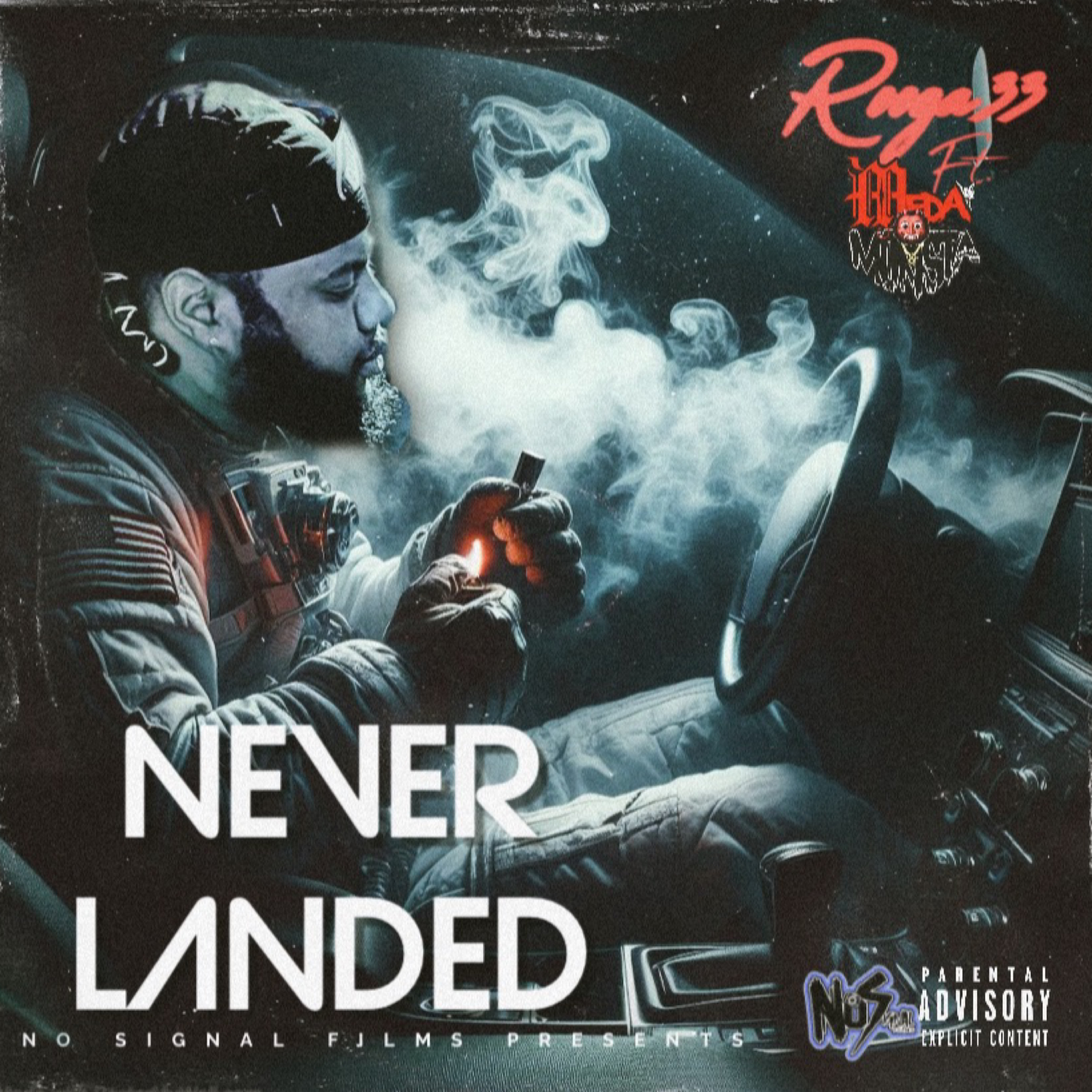 Never Landed artwork