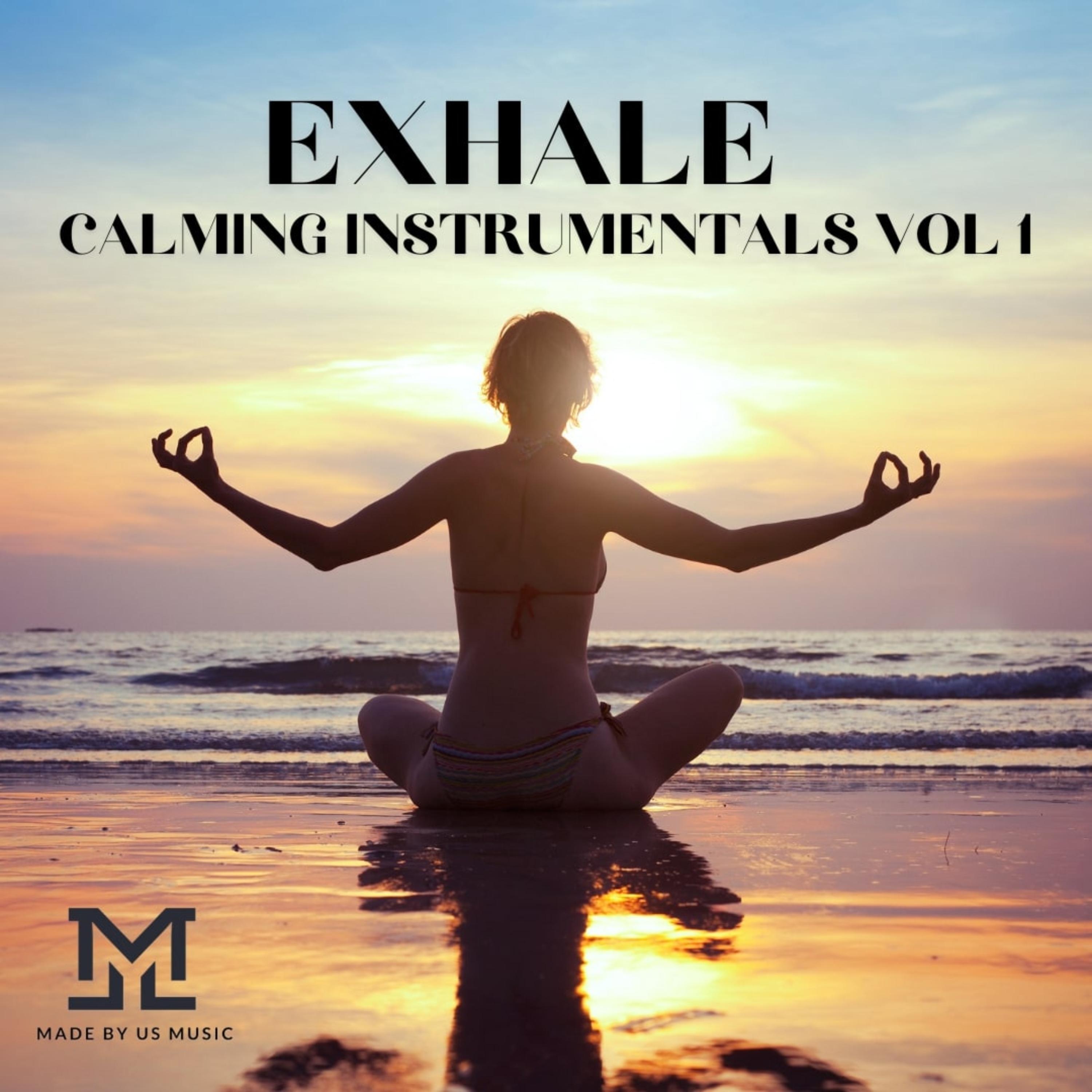 Exhale (Calming Instrumentals Vol 1) artwork