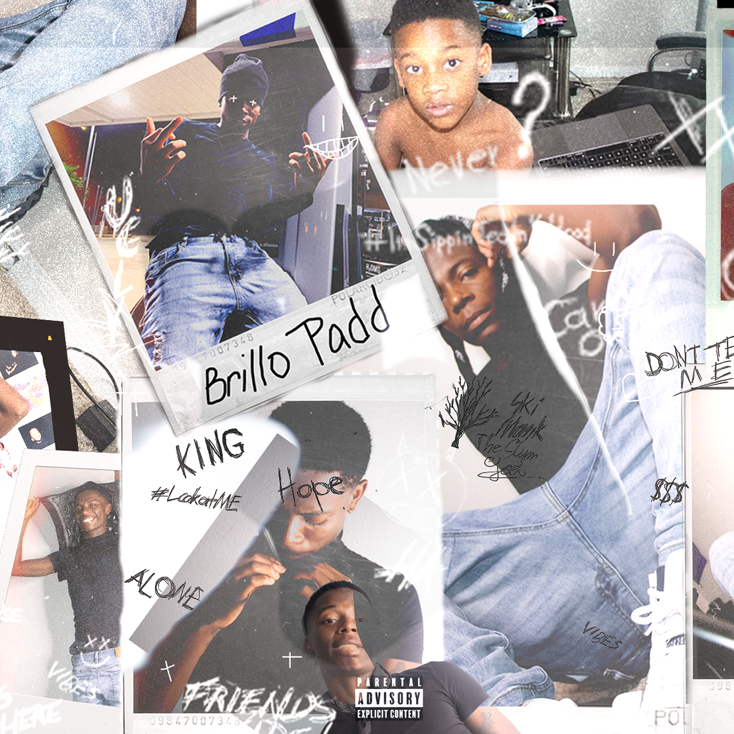 Brillo Padd artwork