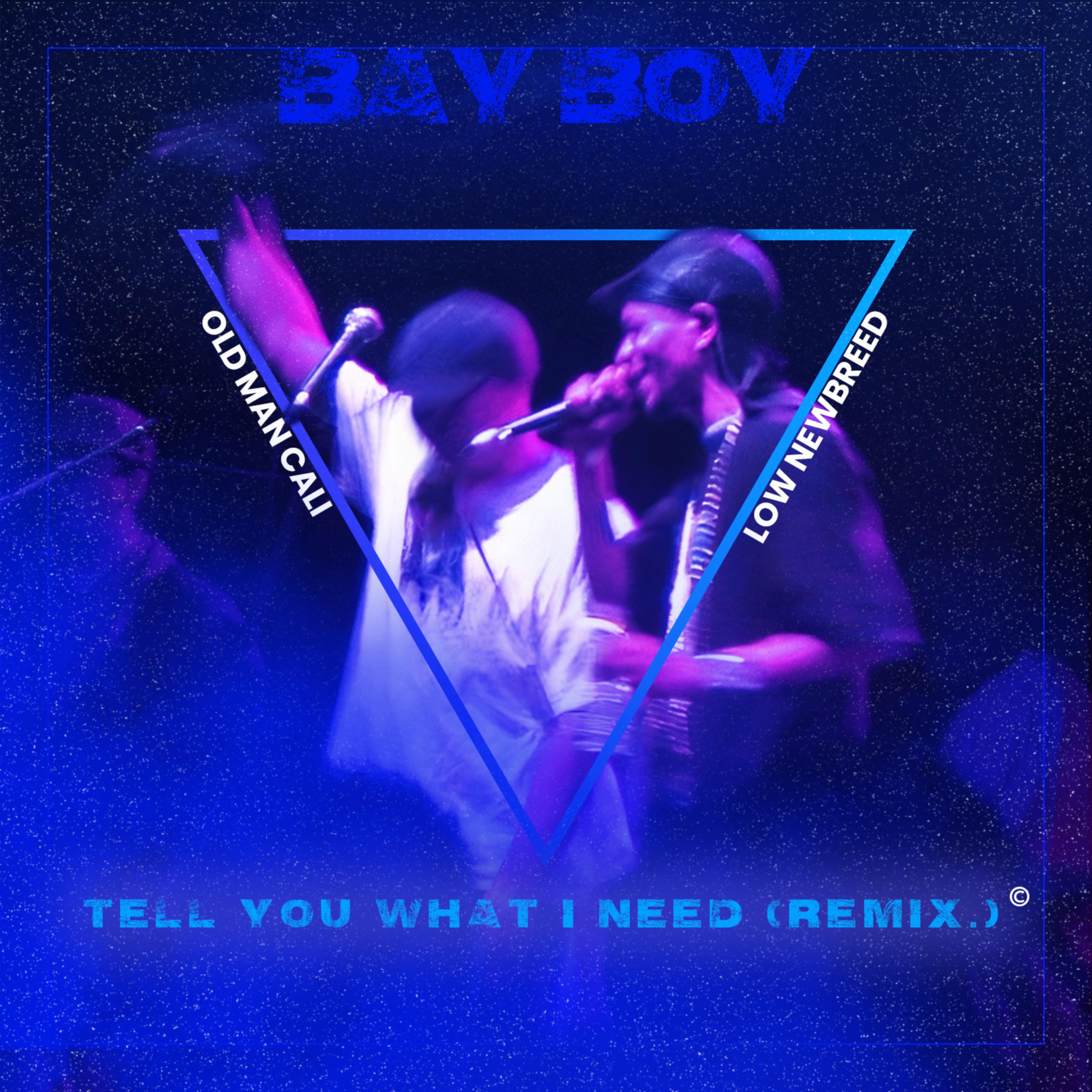 Tell You What I Need (Remix) artwork