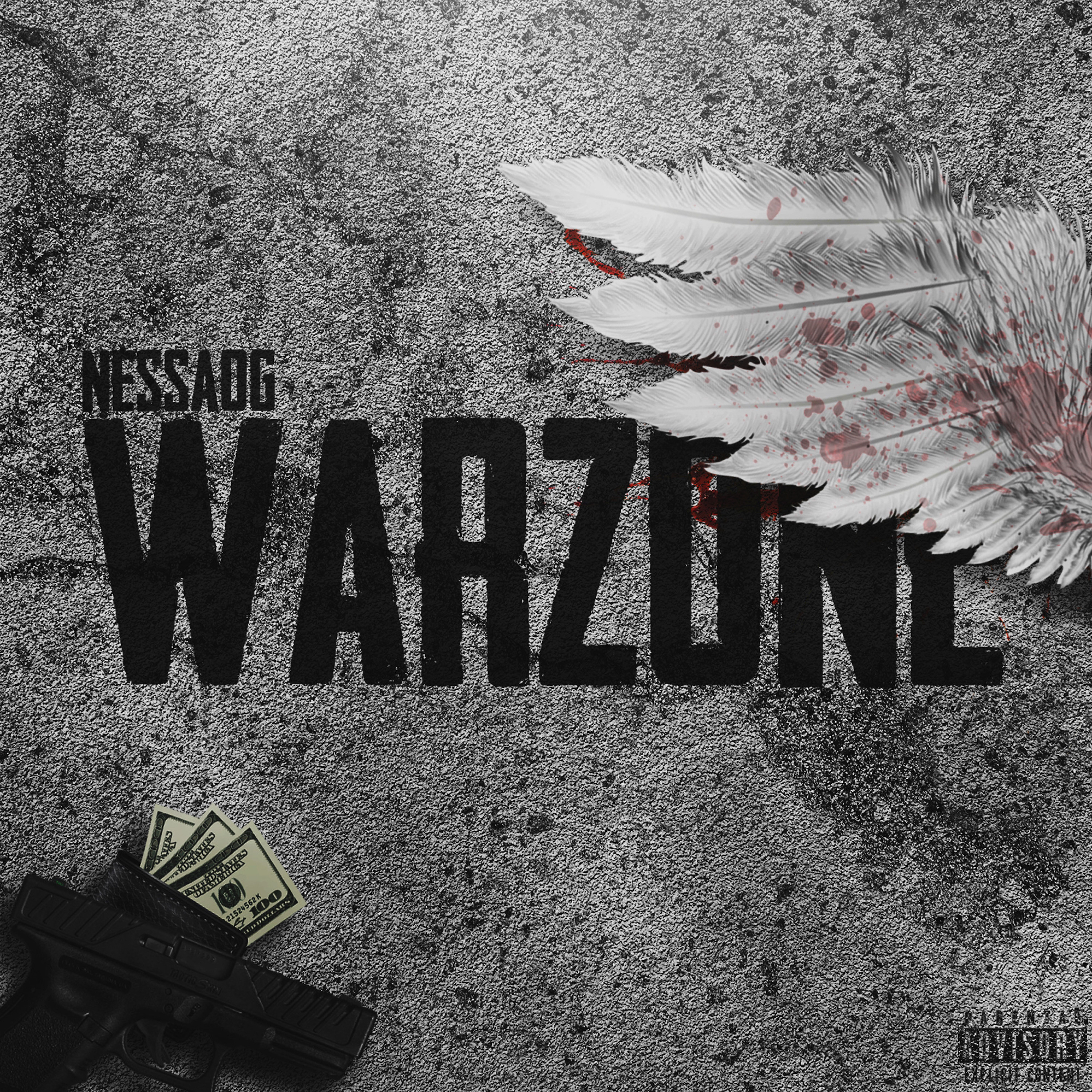 Warzone artwork