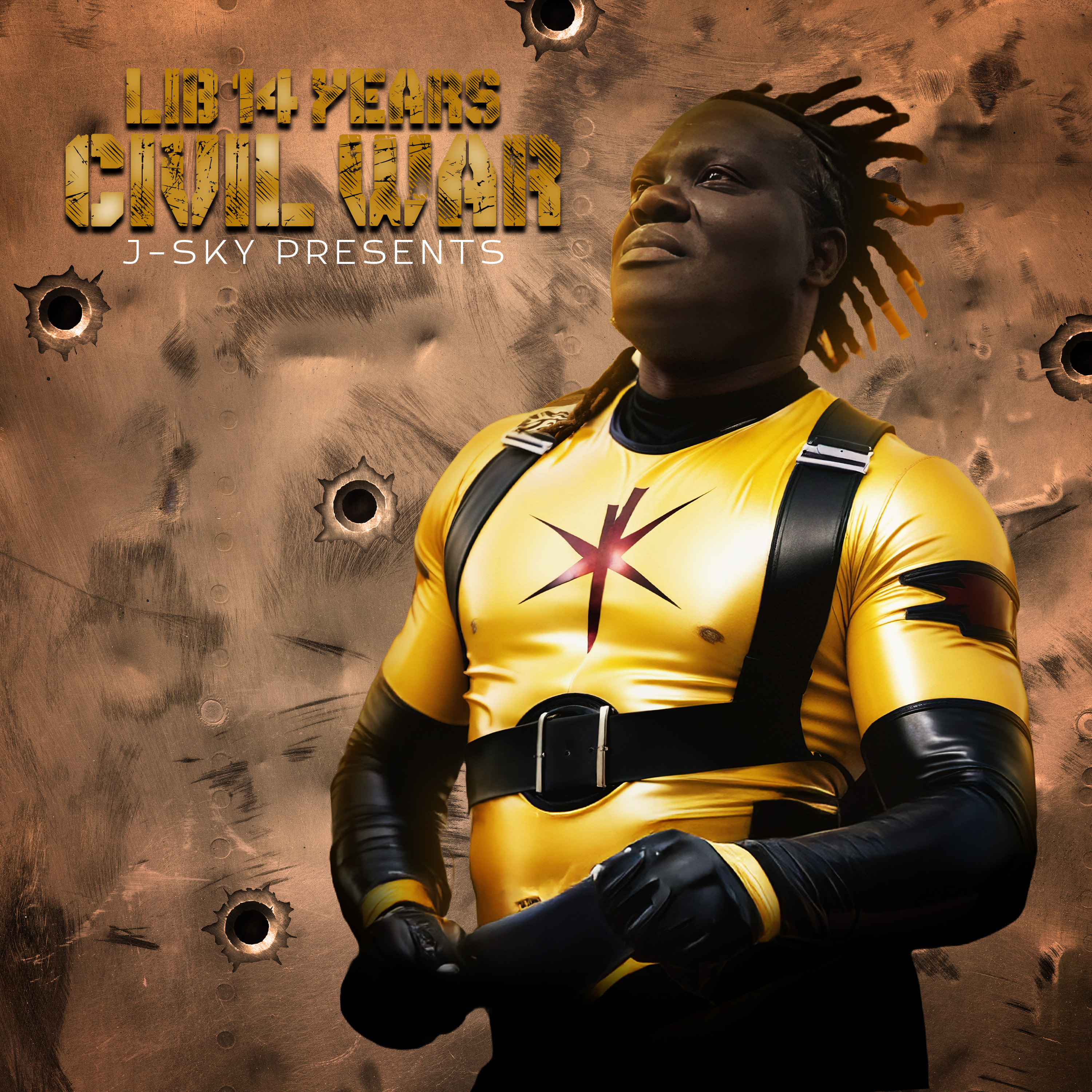 LIB 14 YEARS CIVIL WAR artwork