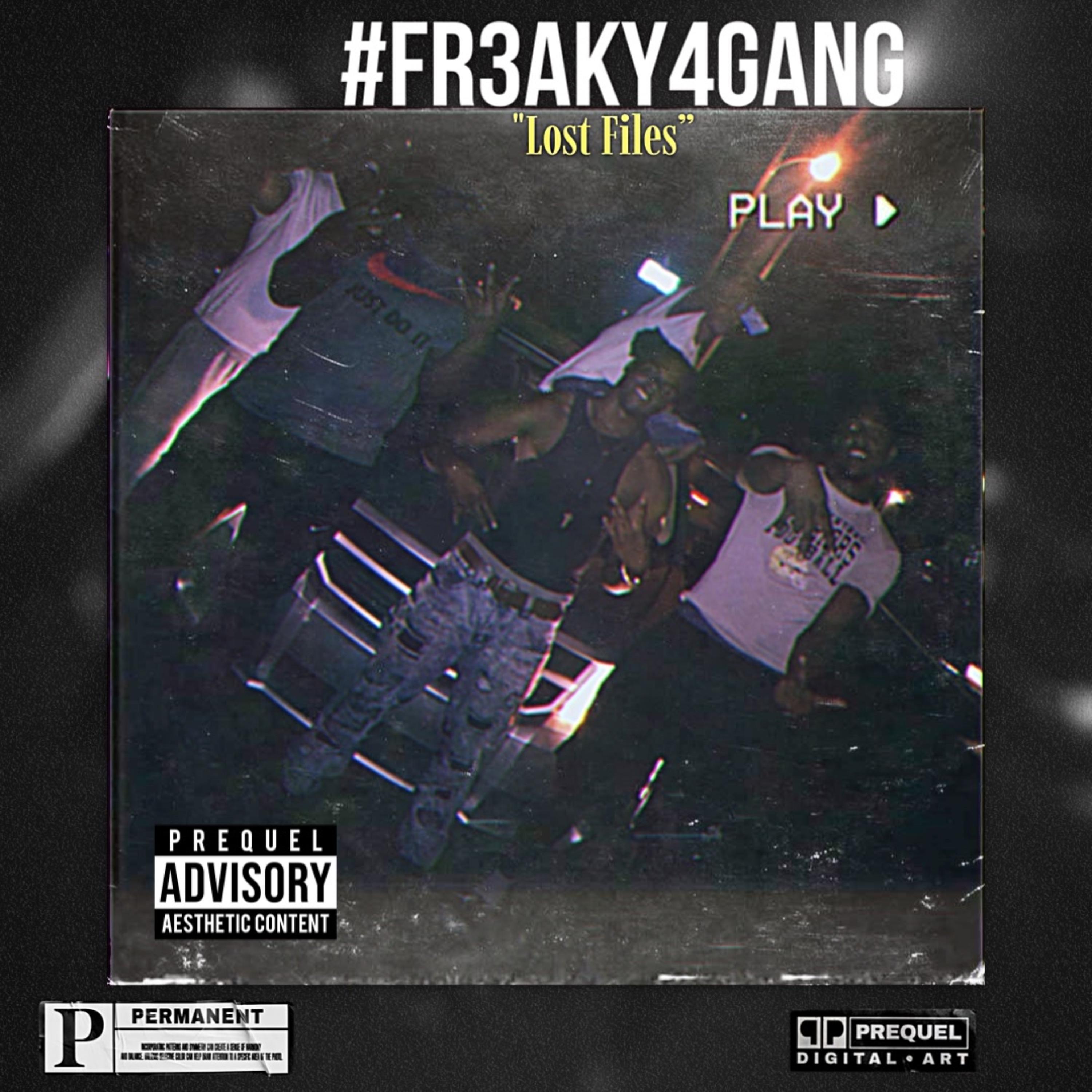 #FR3AKY4GANG (Lost Files) artwork