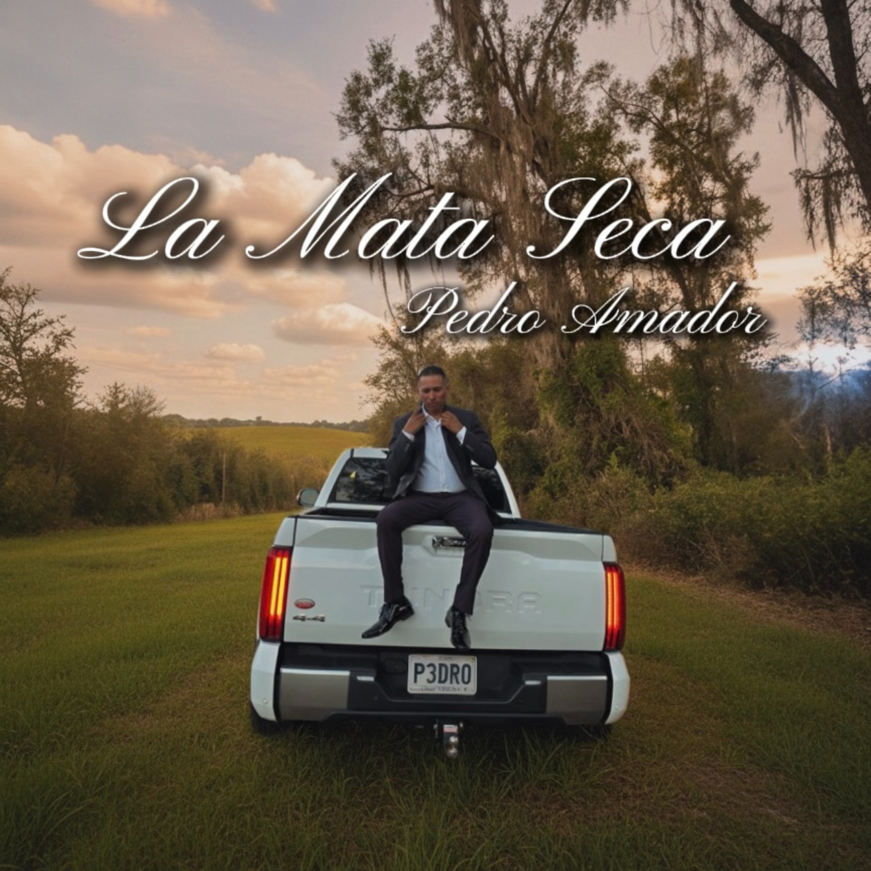 La Mata Seca artwork