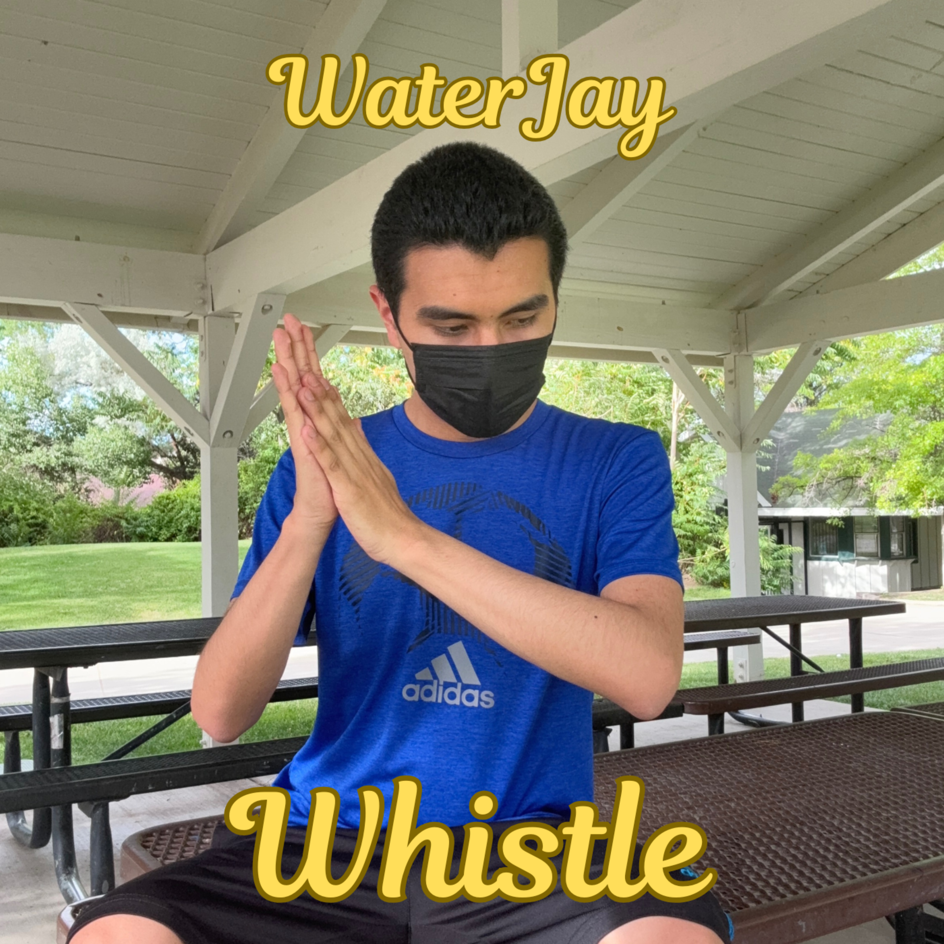 Whistle artwork