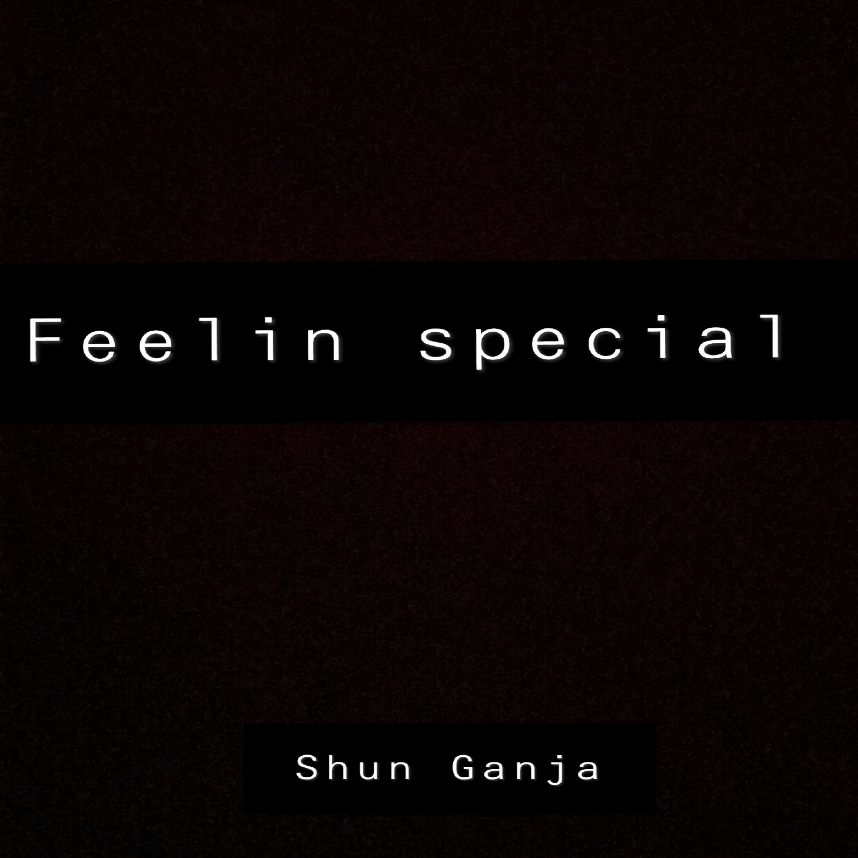 Feeling Speacial  artwork