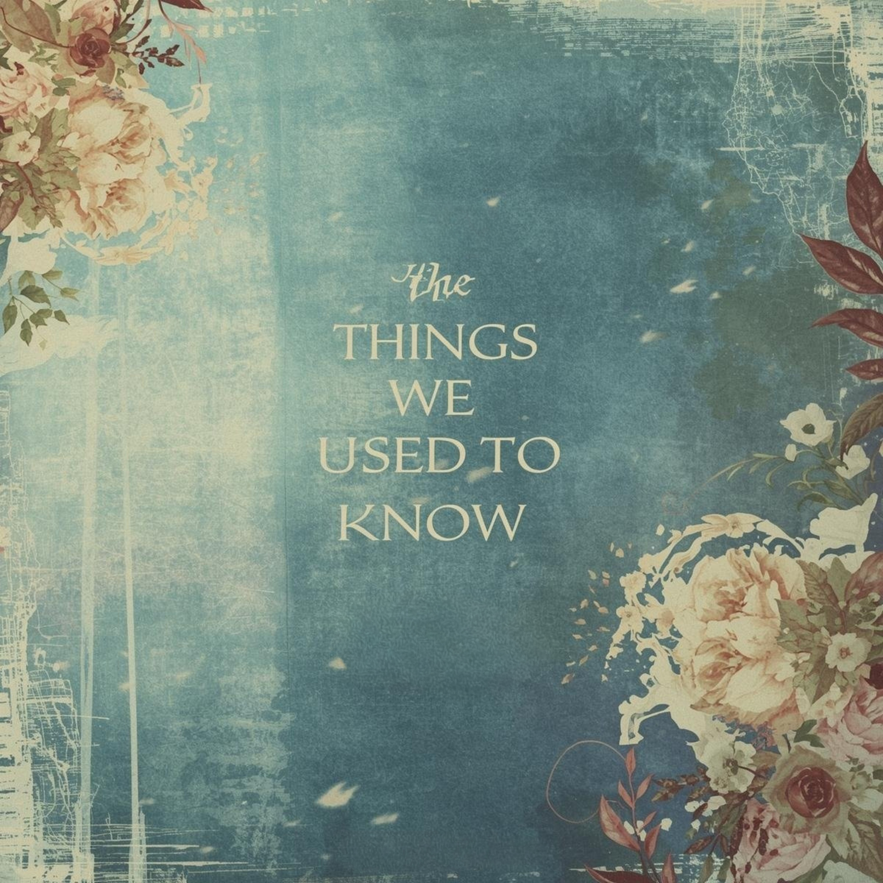 The Things We Used To Know artwork